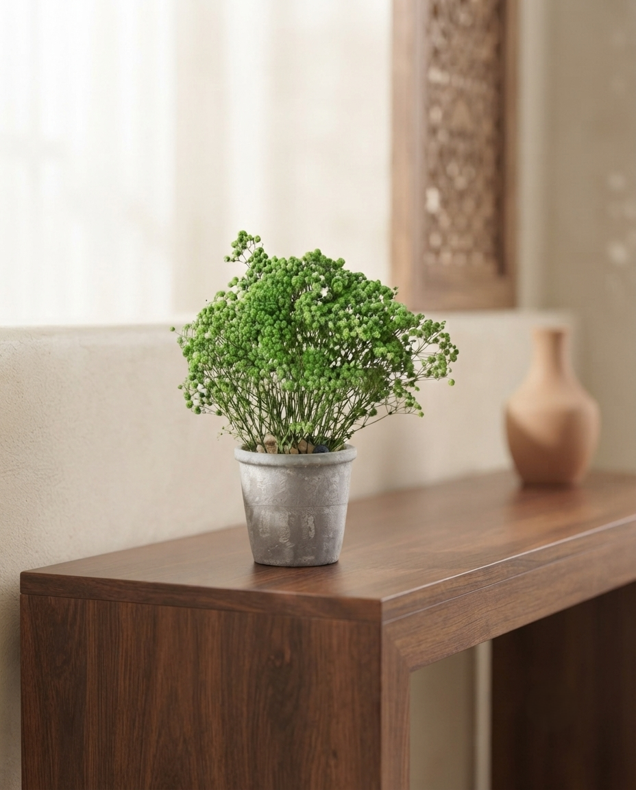 Preserved Baby’s Breath Table Top 24cm