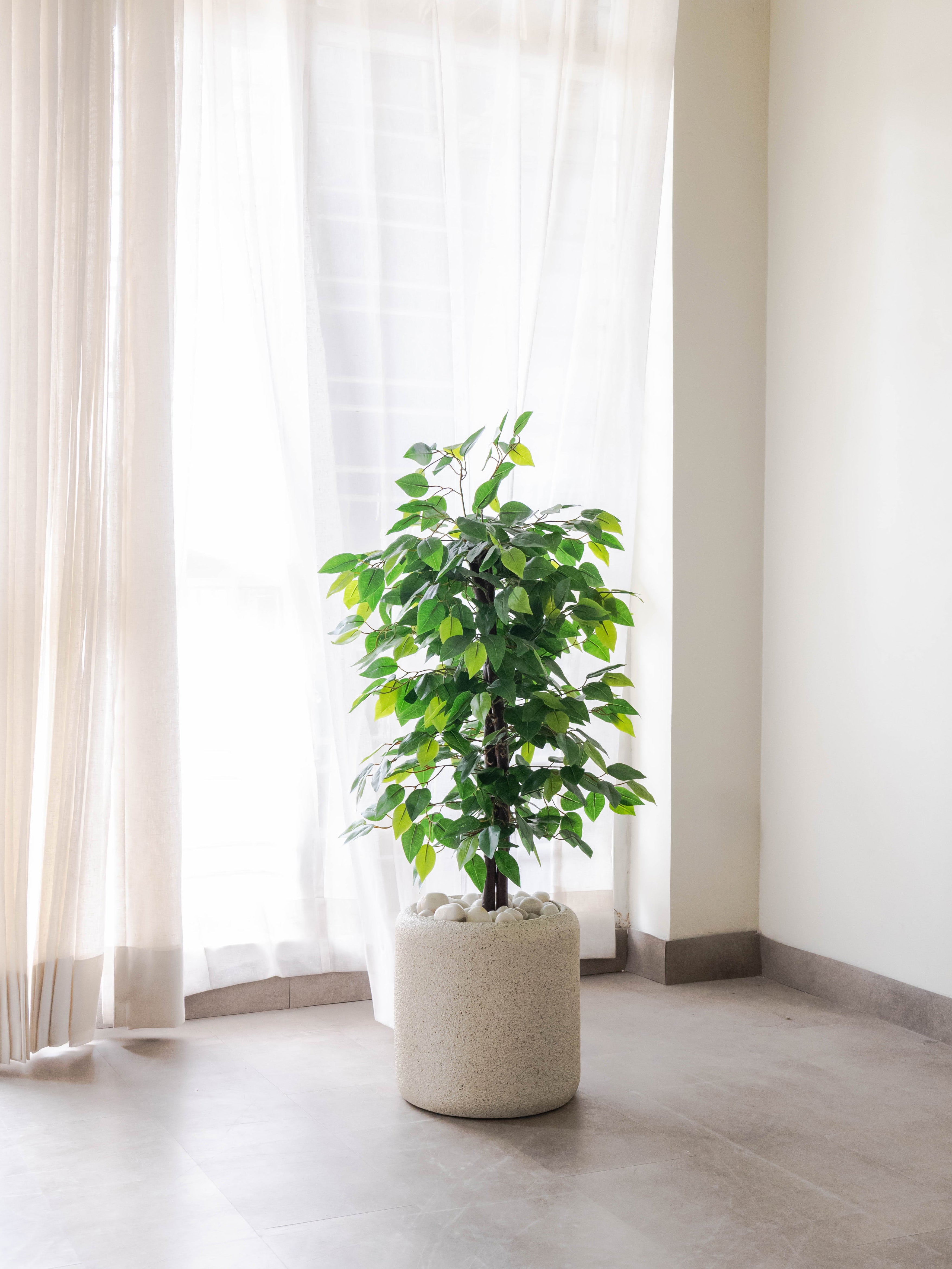 Artificial Green Ficus Tree 3ft