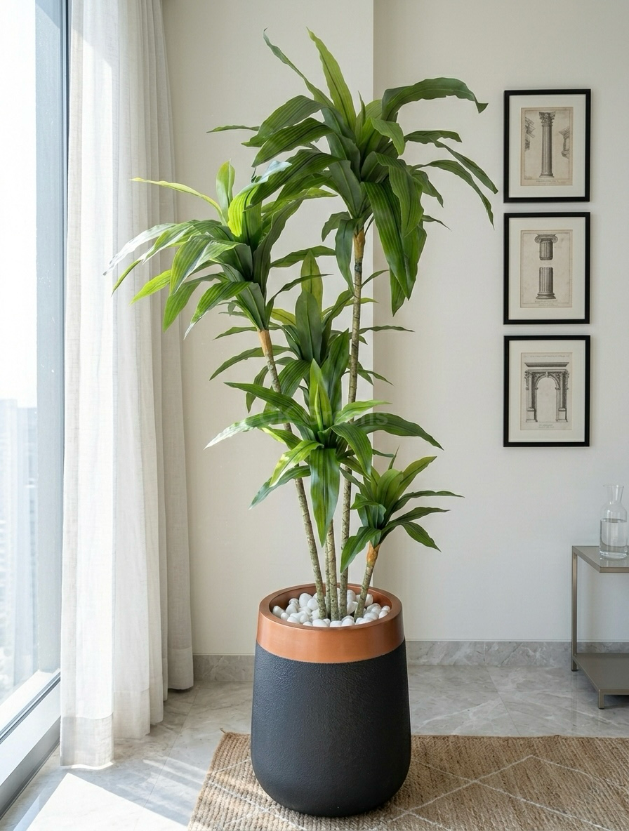 Artificial Green Dracaena Plant 5.2ft