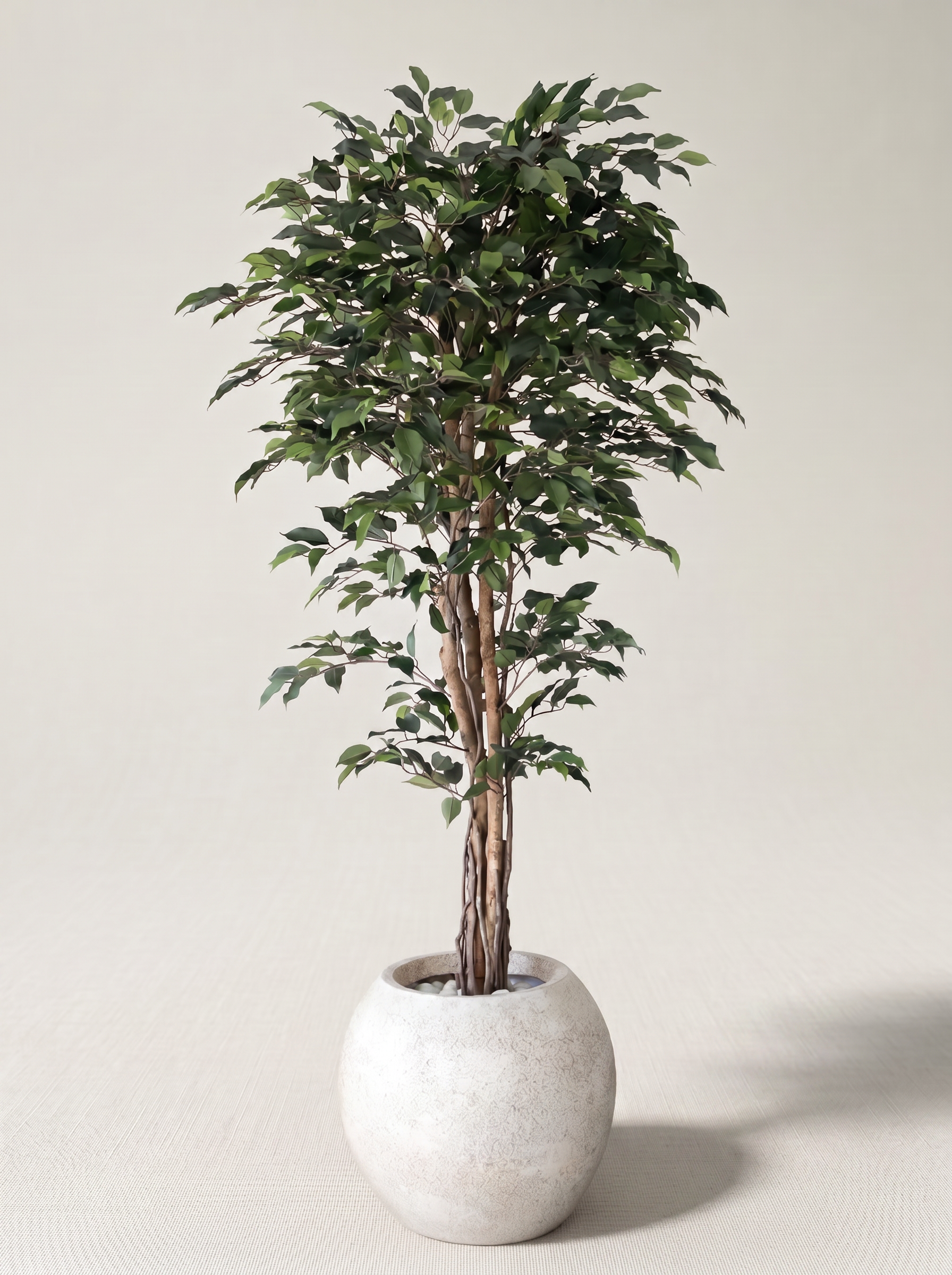 Artificial Green Ficus Tree 6ft