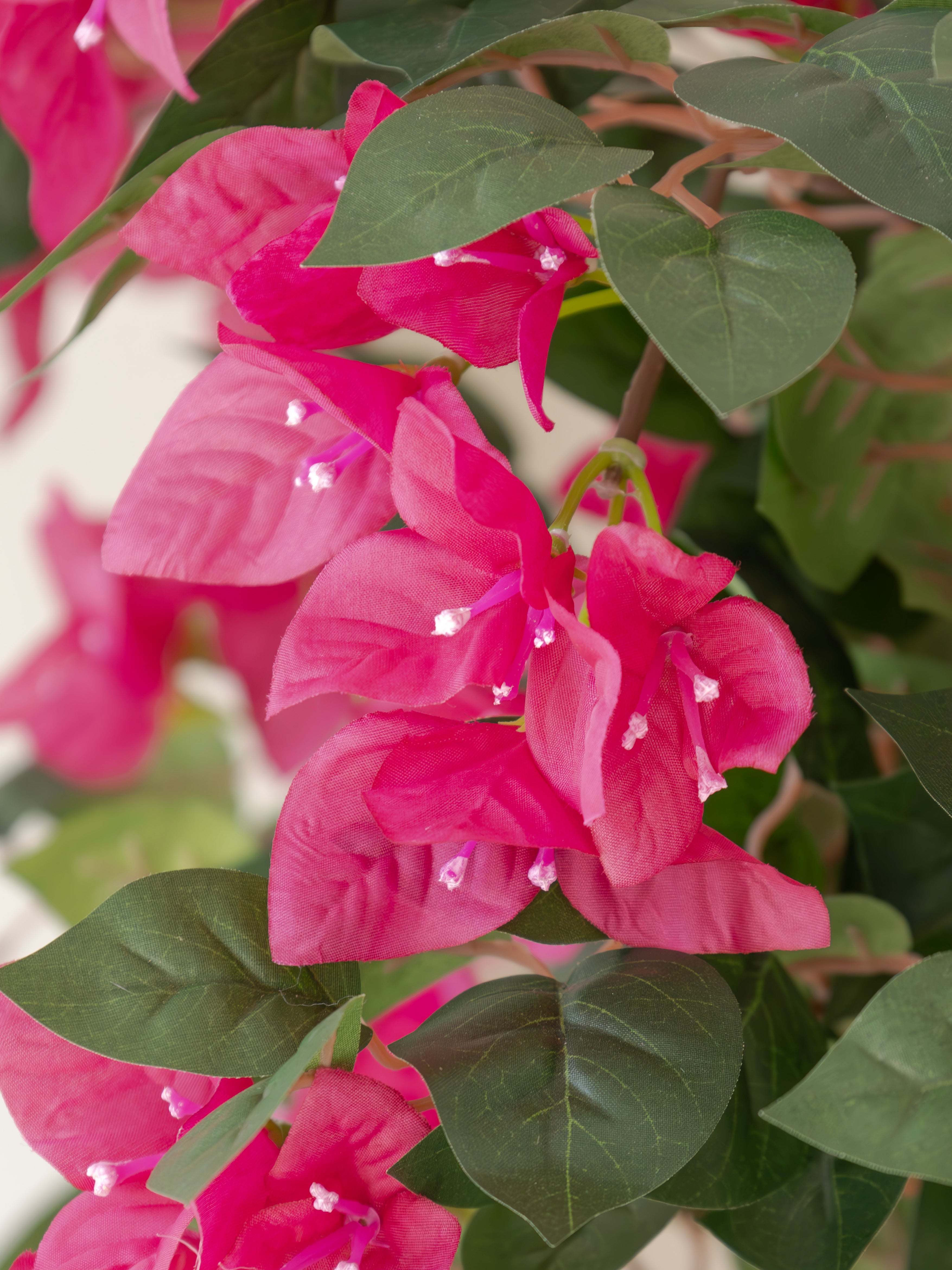 Artificial Veil Bougainvillea Plant 5ft