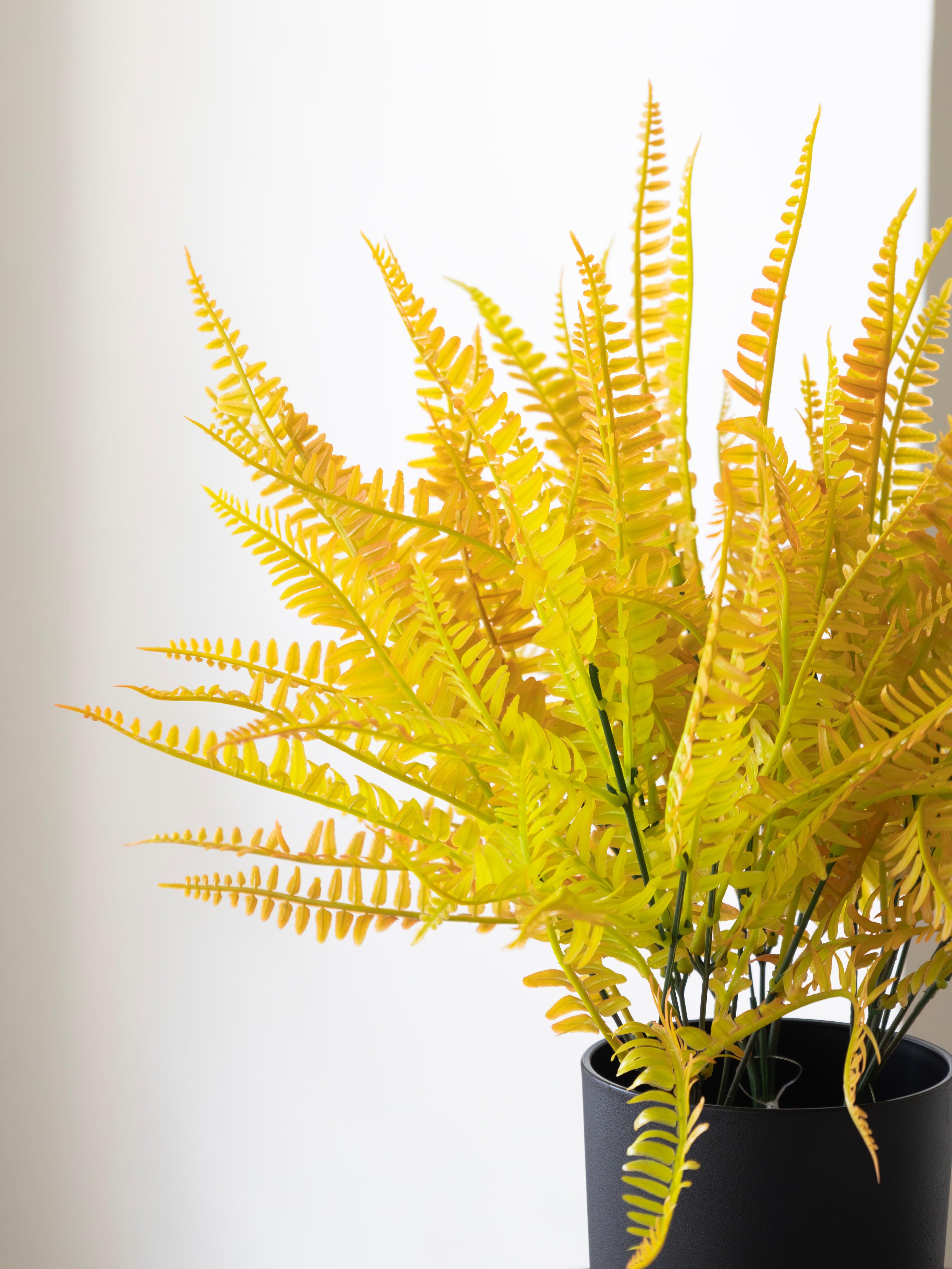 Artificial Fern Bunch (Set of 3)
