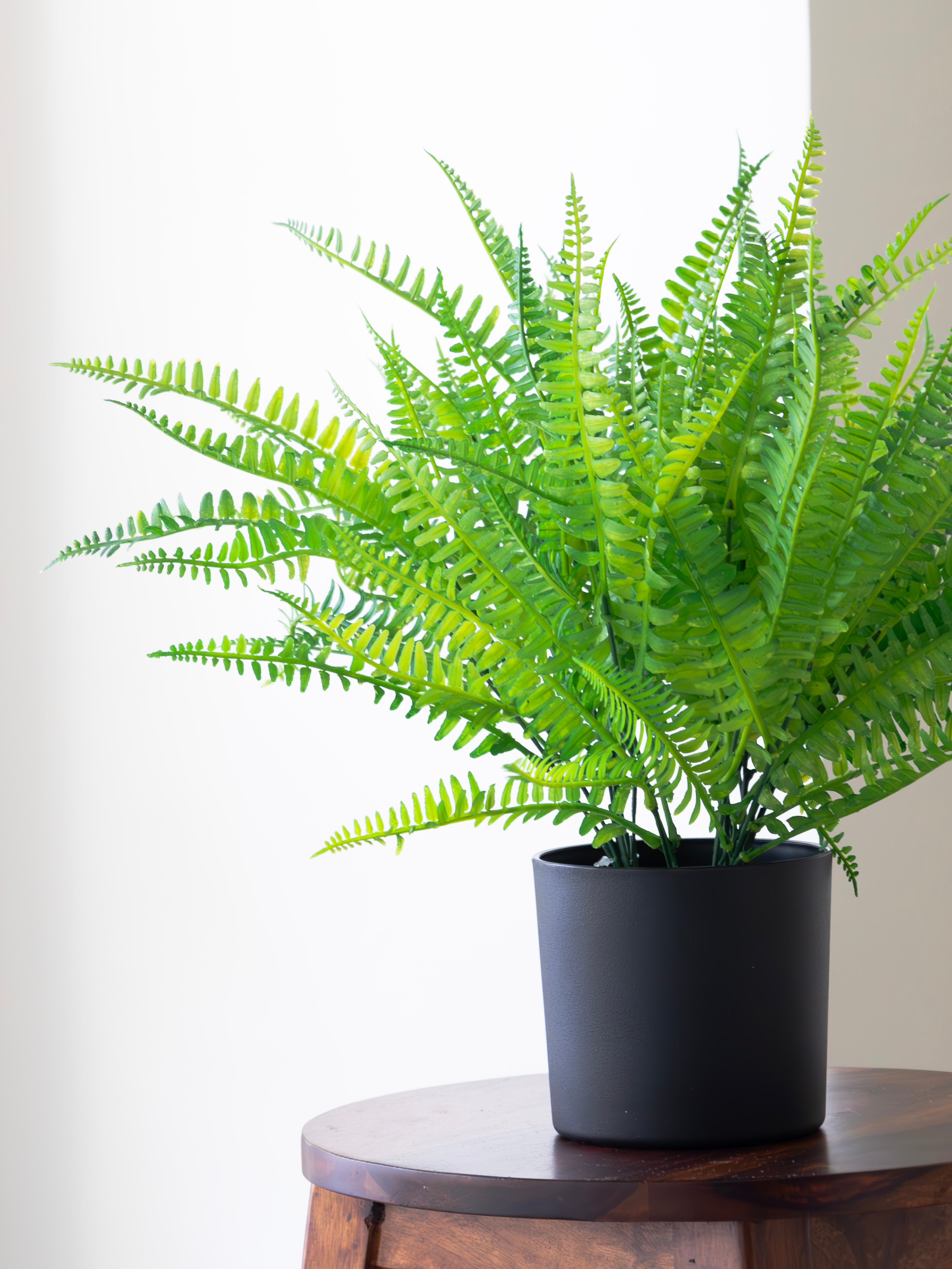 Artificial Fern Bunch (Set of 3)