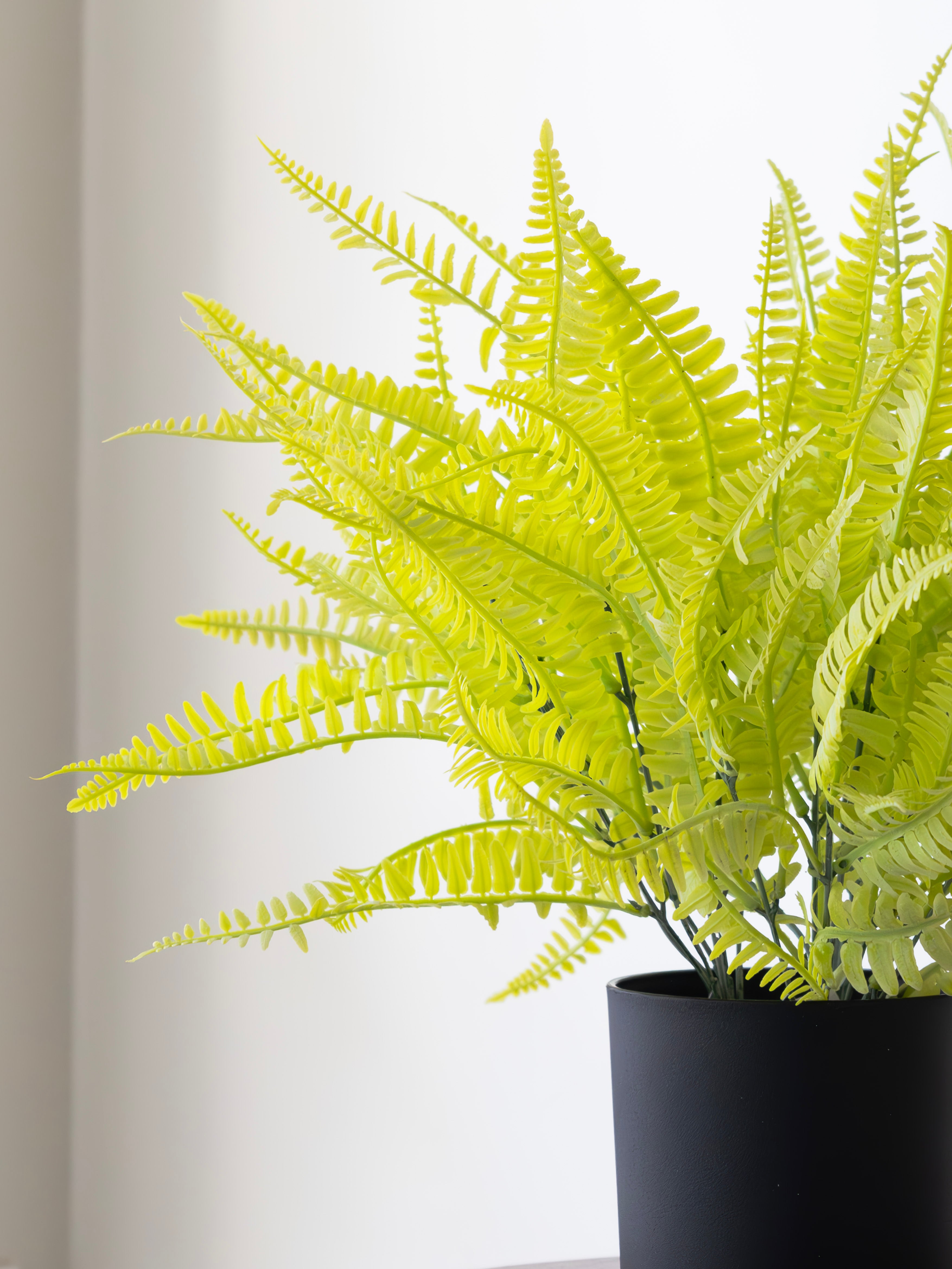 Artificial Fern Bunch (Set of 3)