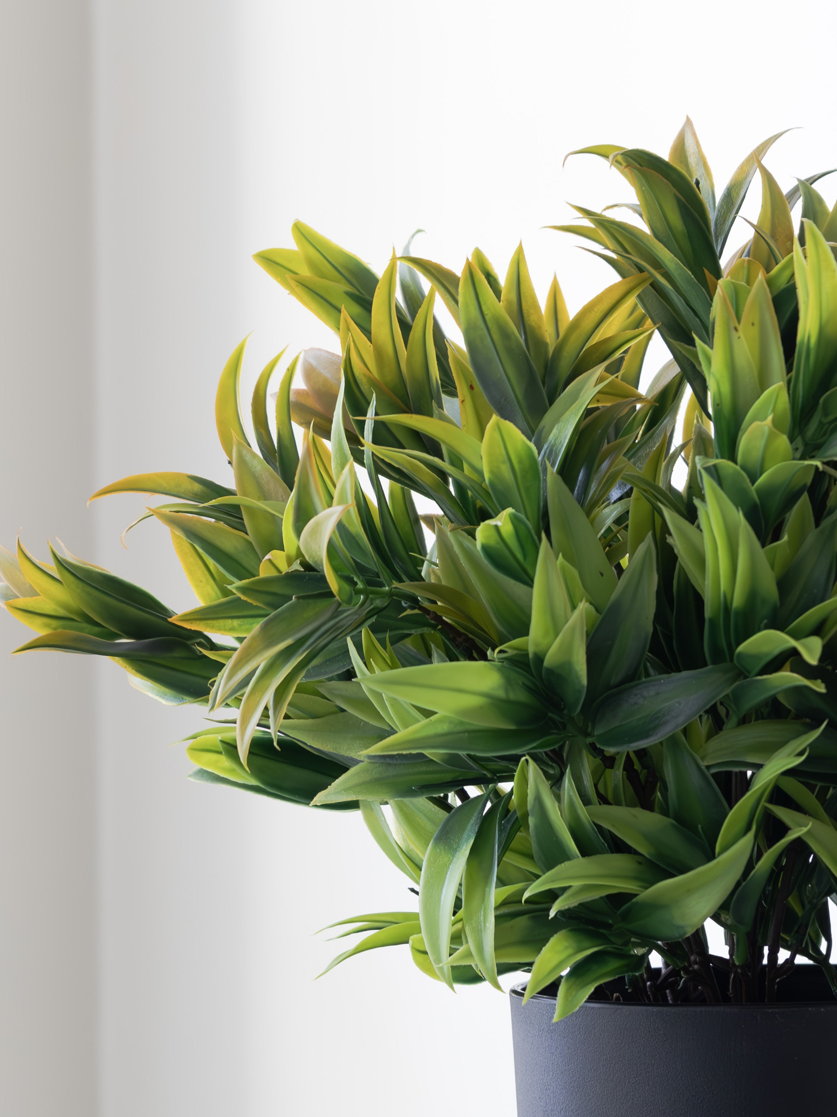 Artificial Yucca Leaf Bunches (Set of 2)