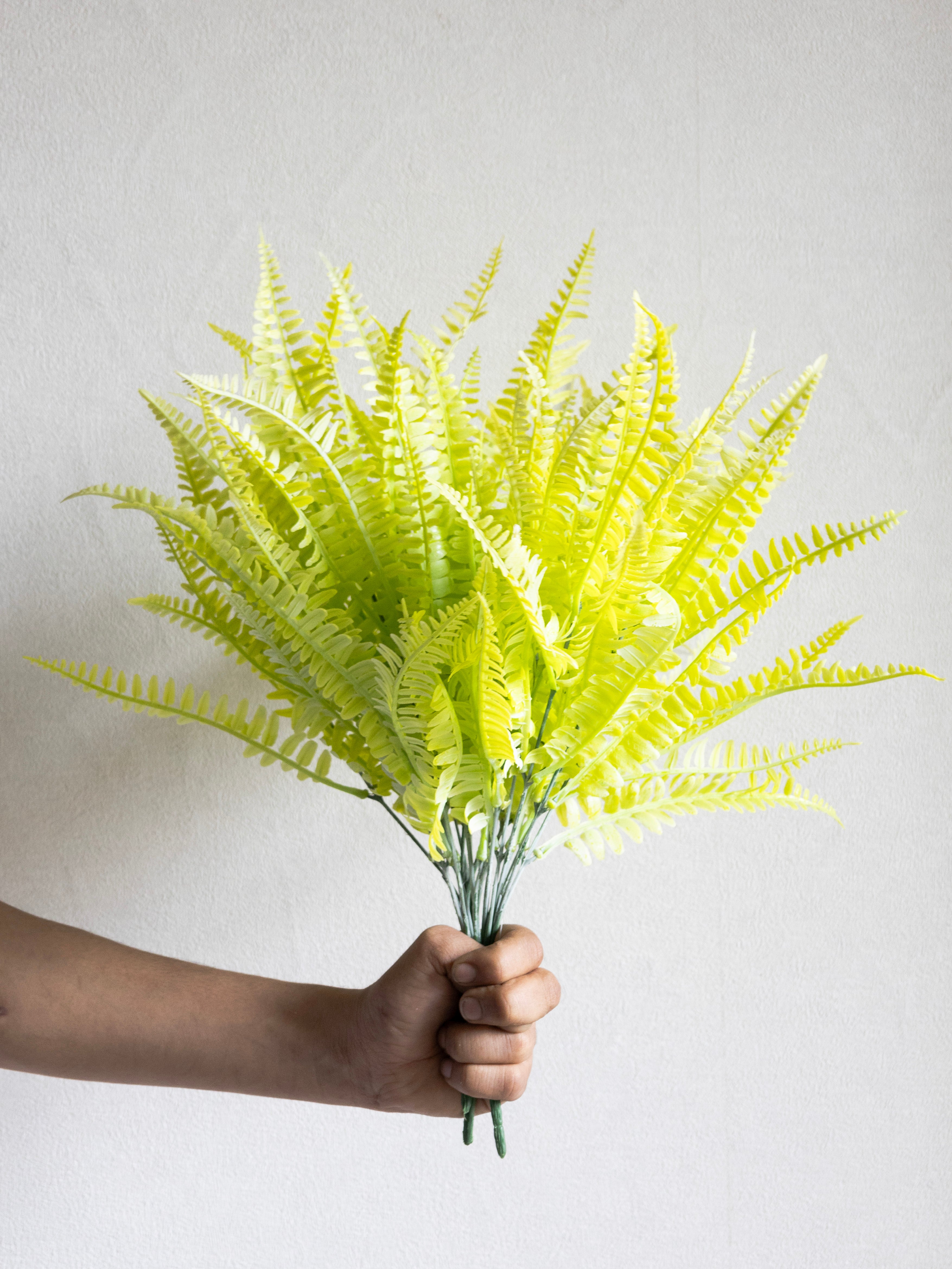 Artificial Fern Bunch (Set of 3)
