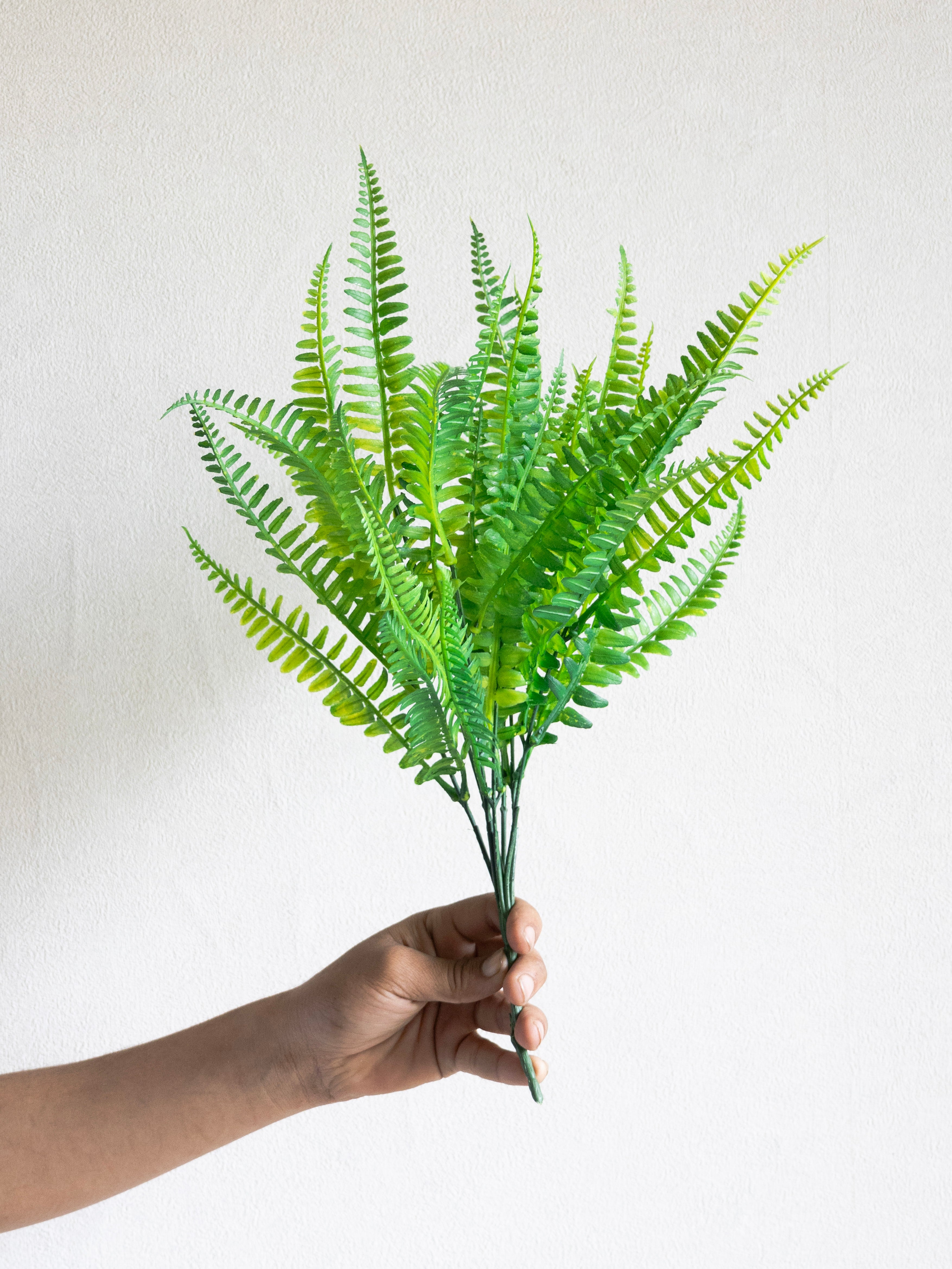 Artificial Fern Bunch (Set of 3)