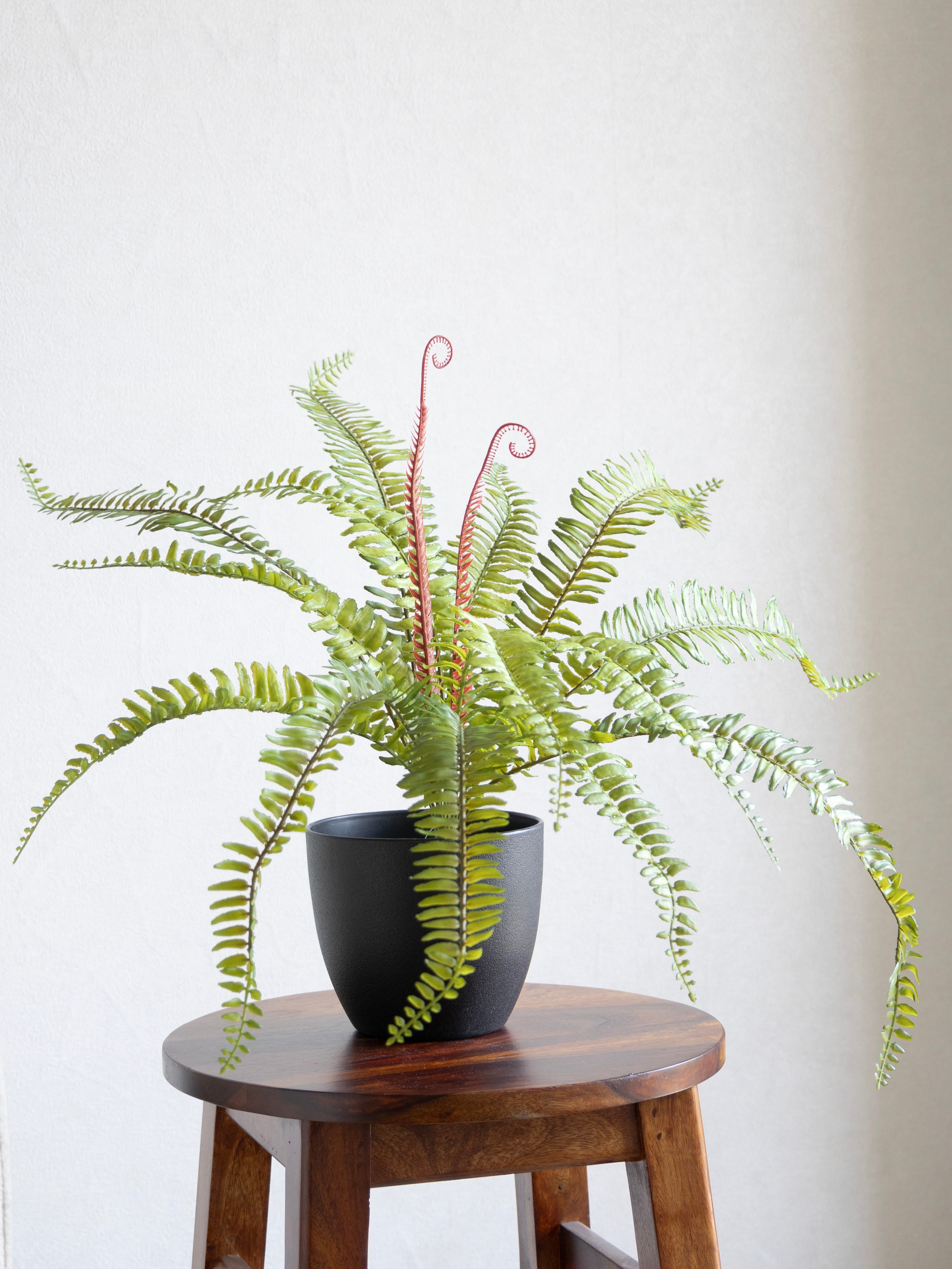 Artificial Fern Leaf Bunch 1.9ft