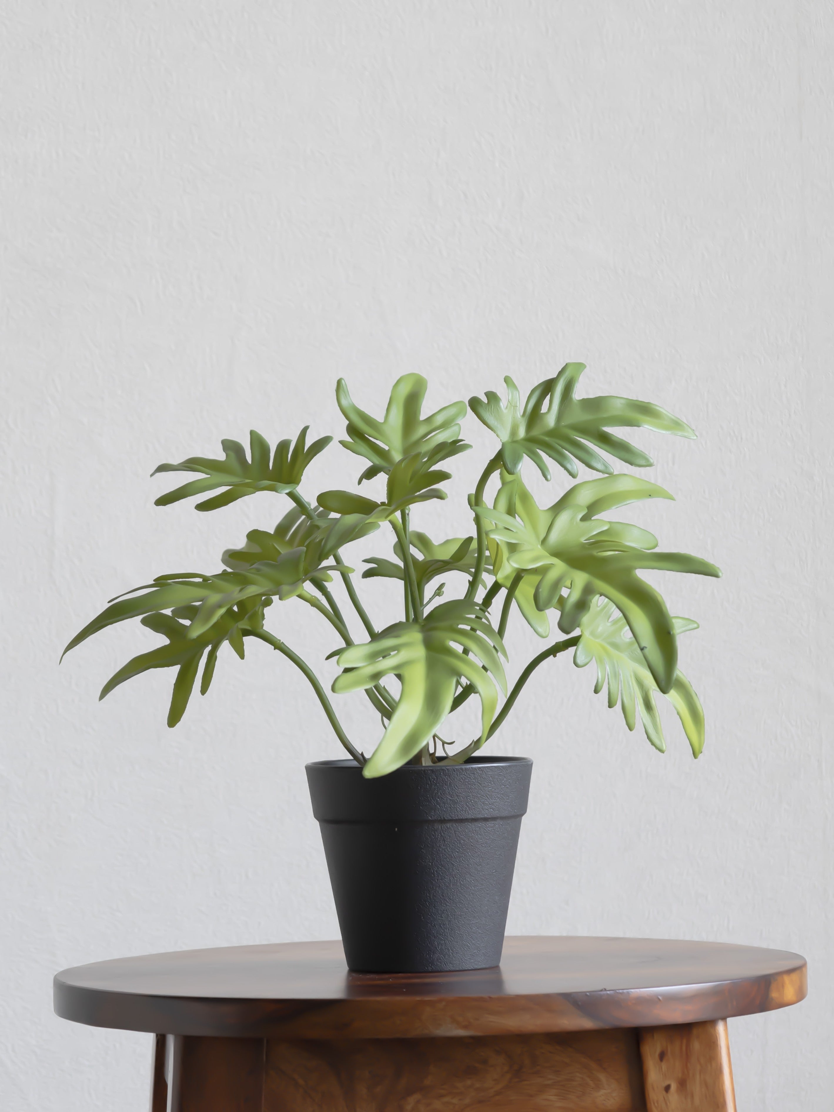 Artificial Philodendron Leaf Table Top