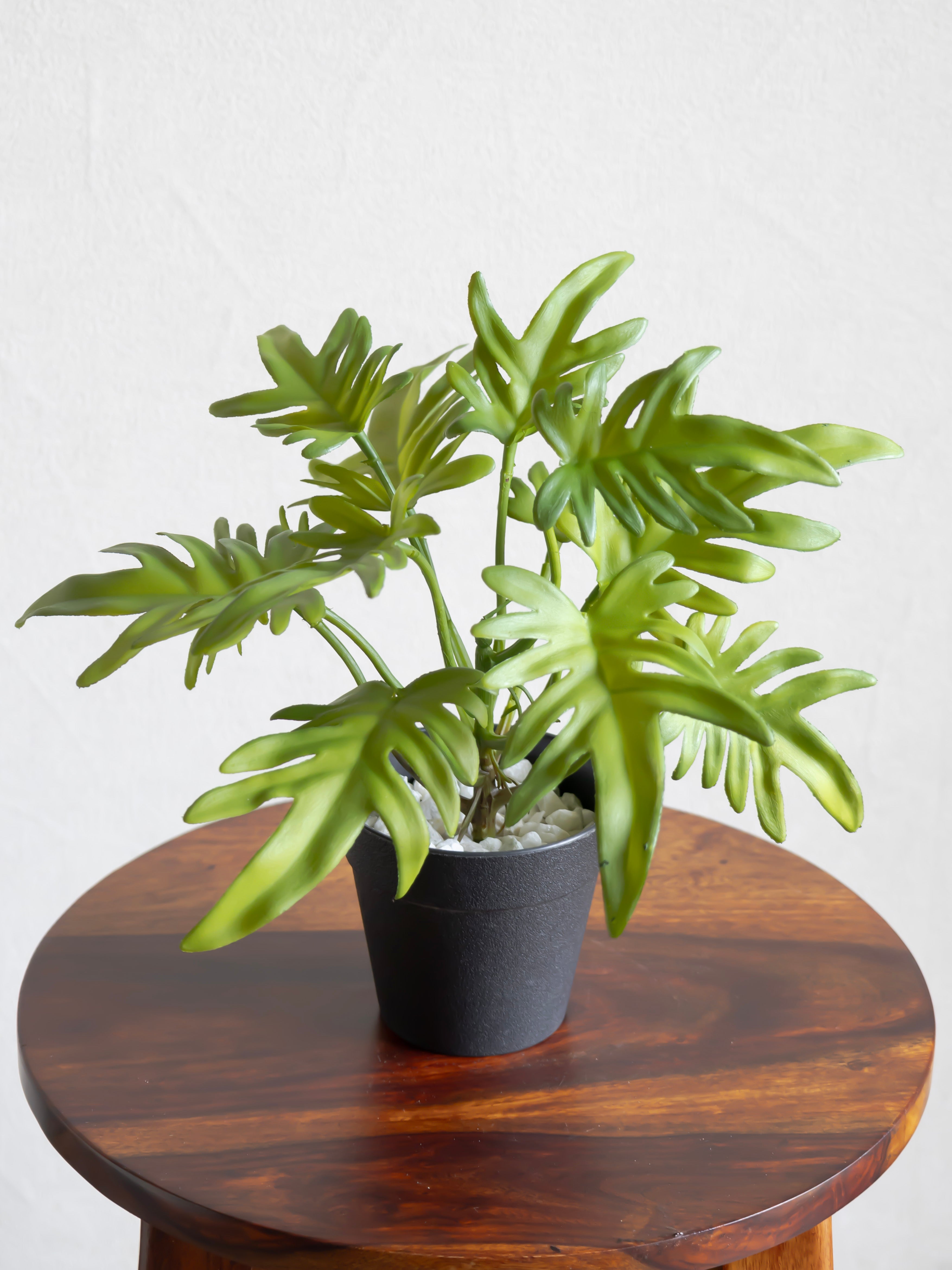 Artificial Philodendron Leaf Table Top