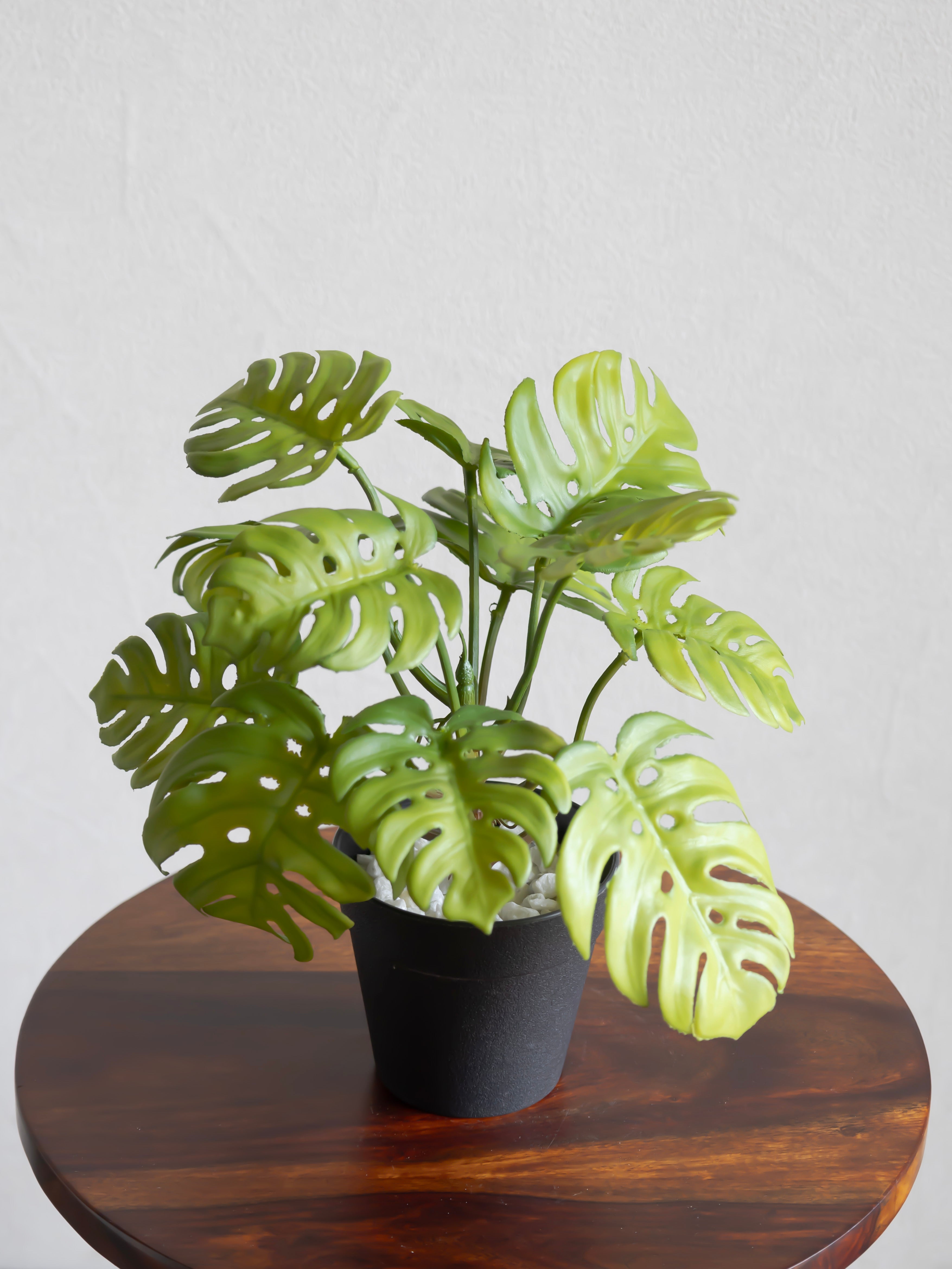 Artificial Swiss Leaf Table Top