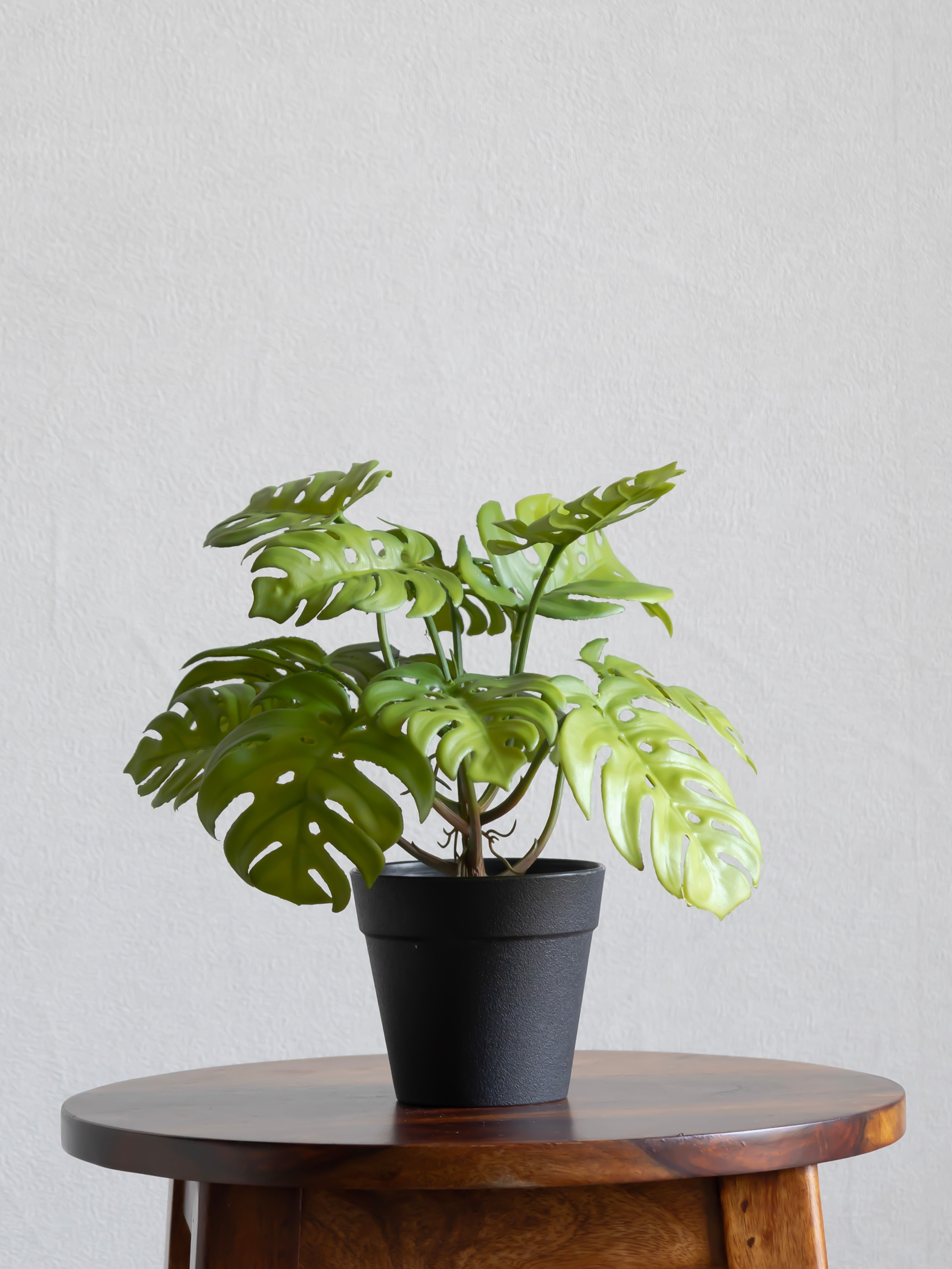 Artificial Swiss Leaf Table Top