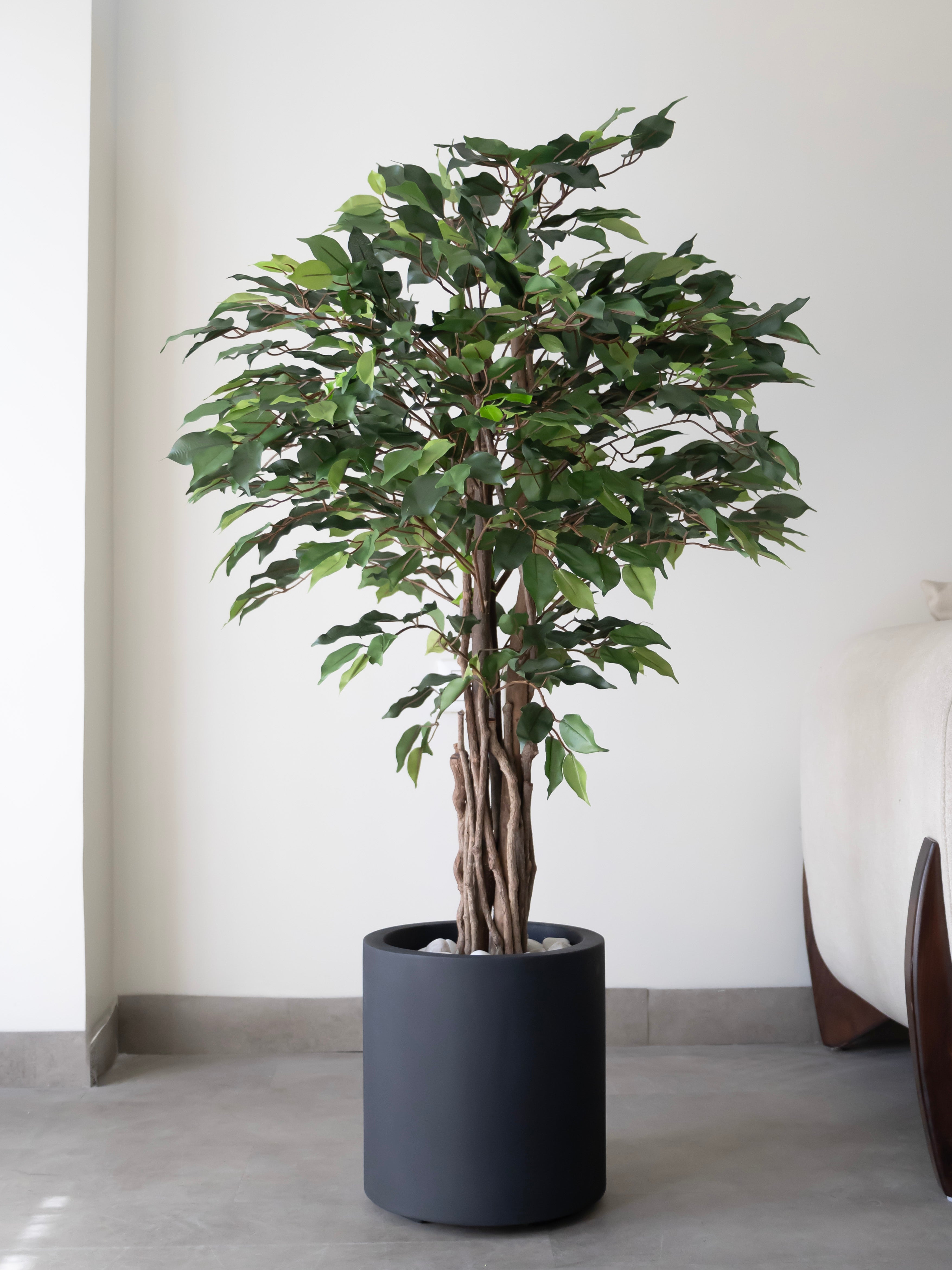 Artificial Green Ficus 4ft
