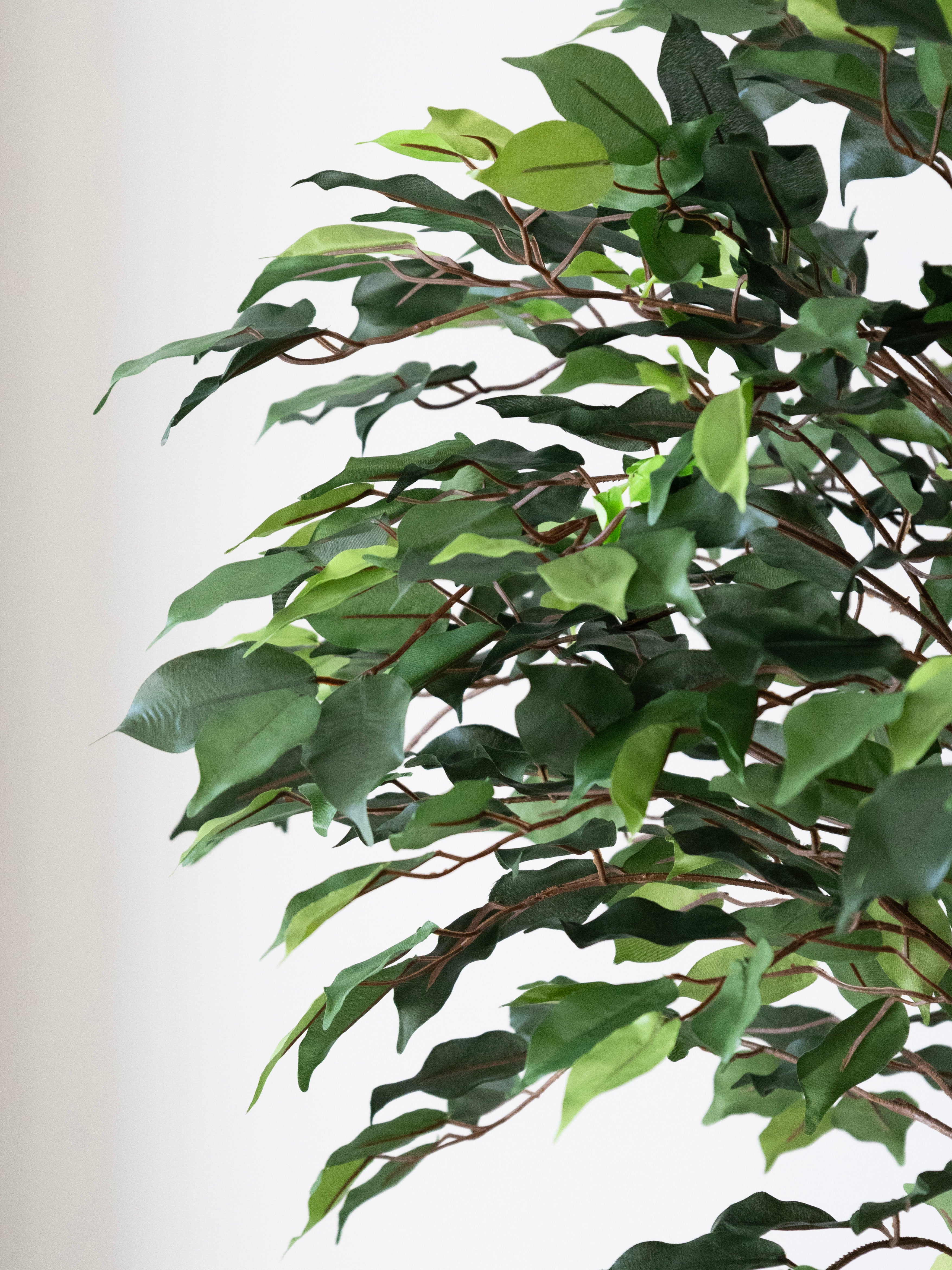 Artificial Green Ficus 4ft