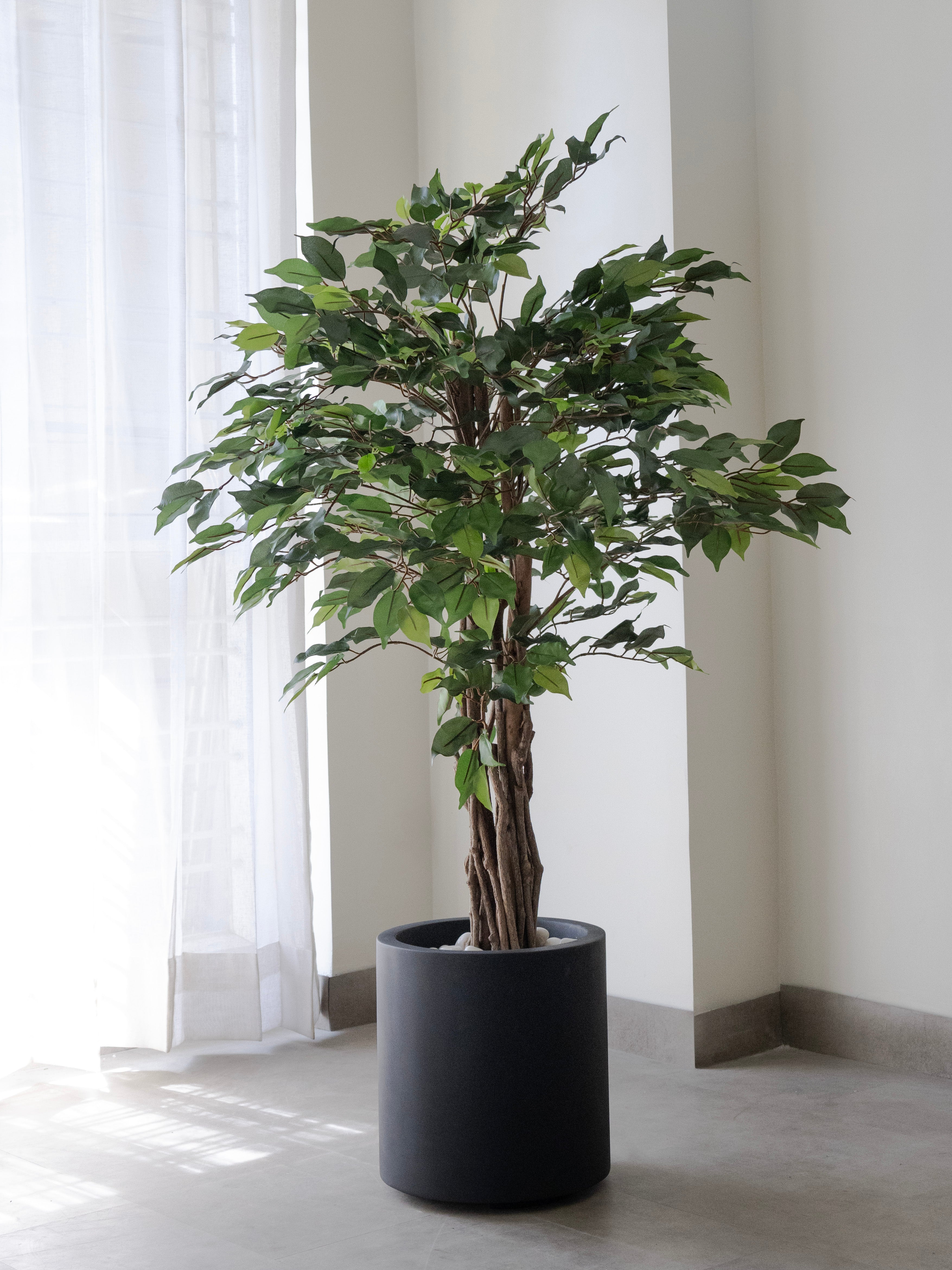 Artificial Green Ficus 4ft