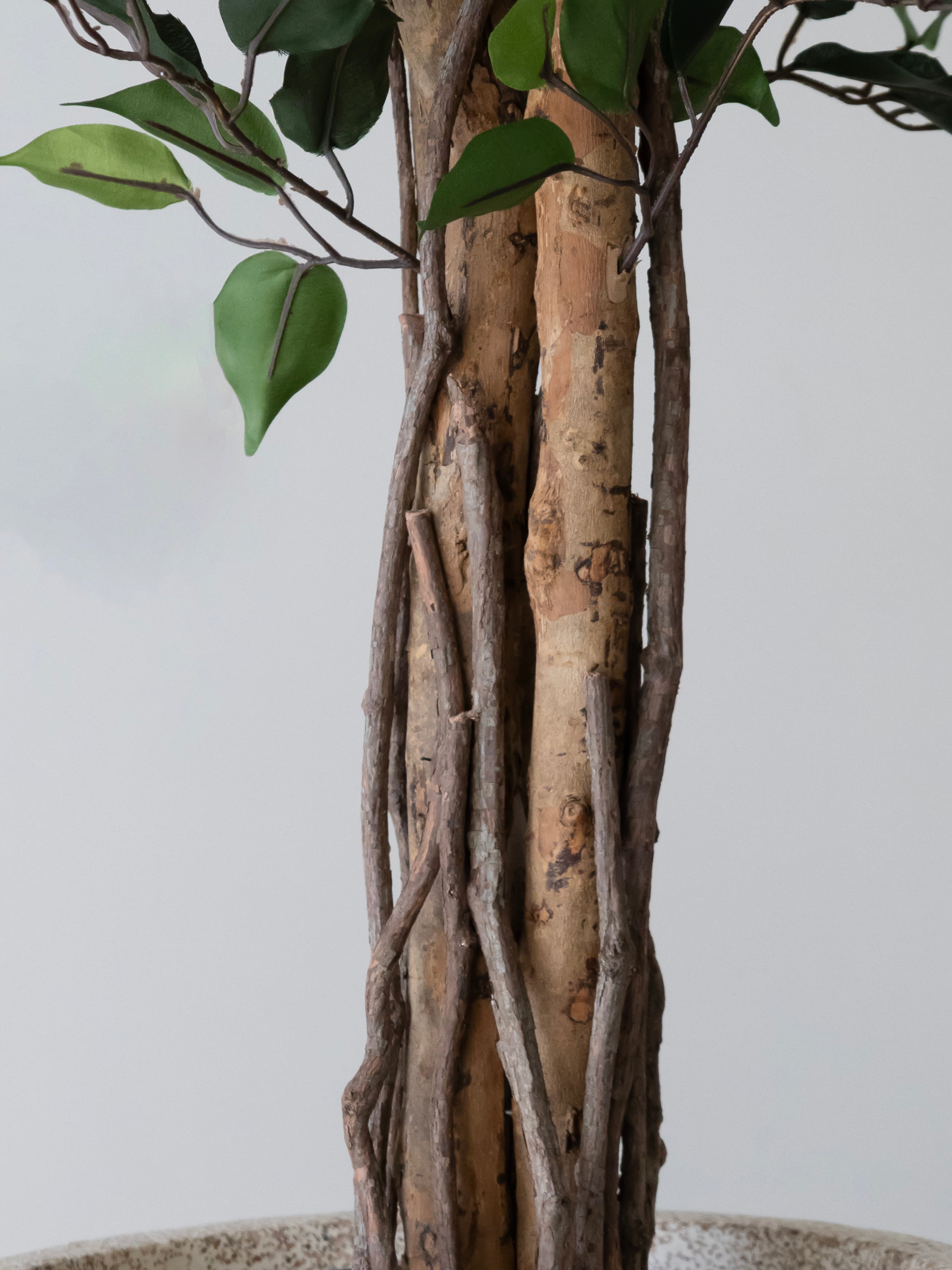 Artificial Green Ficus Tree 6ft
