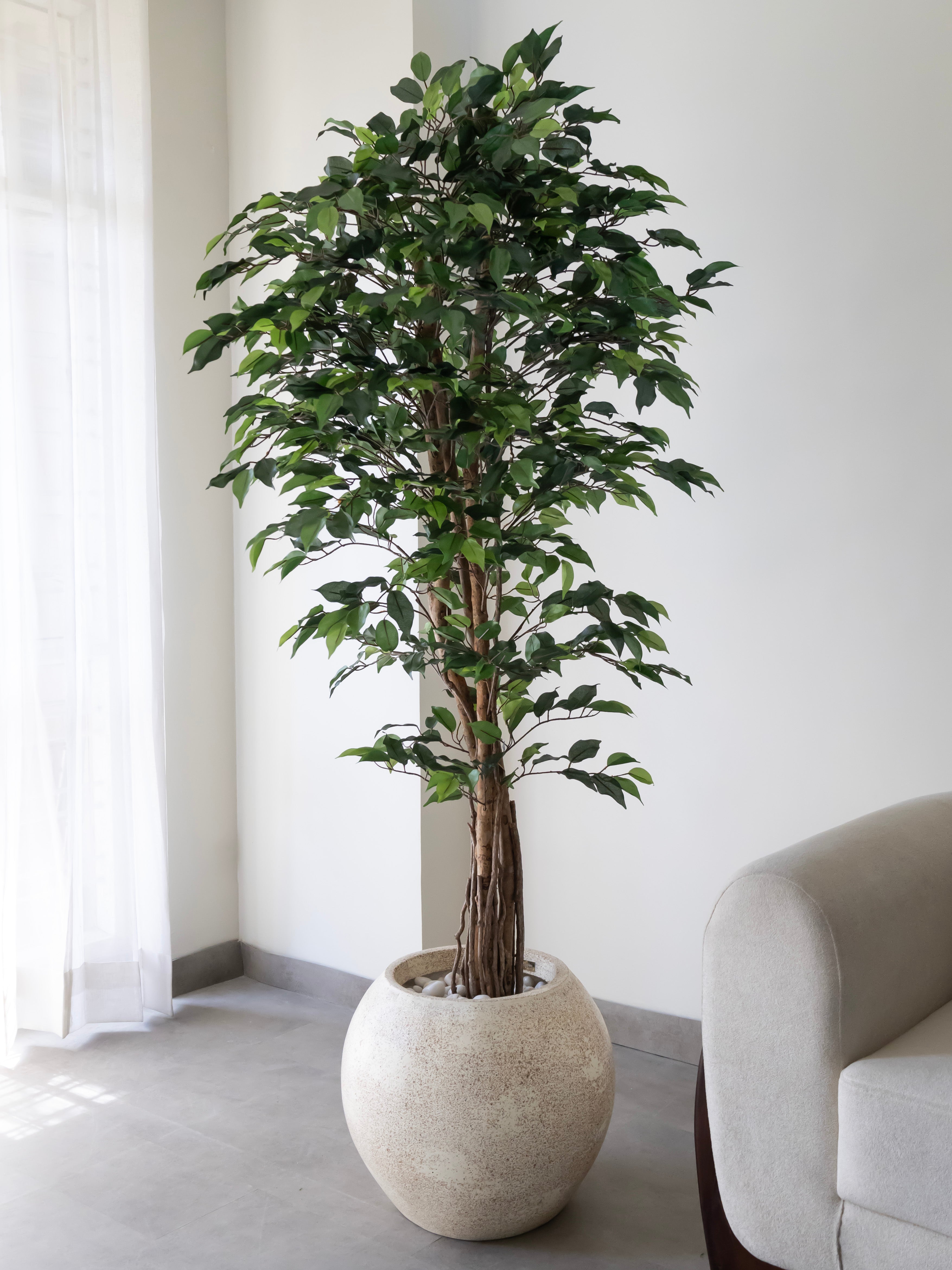 Artificial Green Ficus Tree 6ft