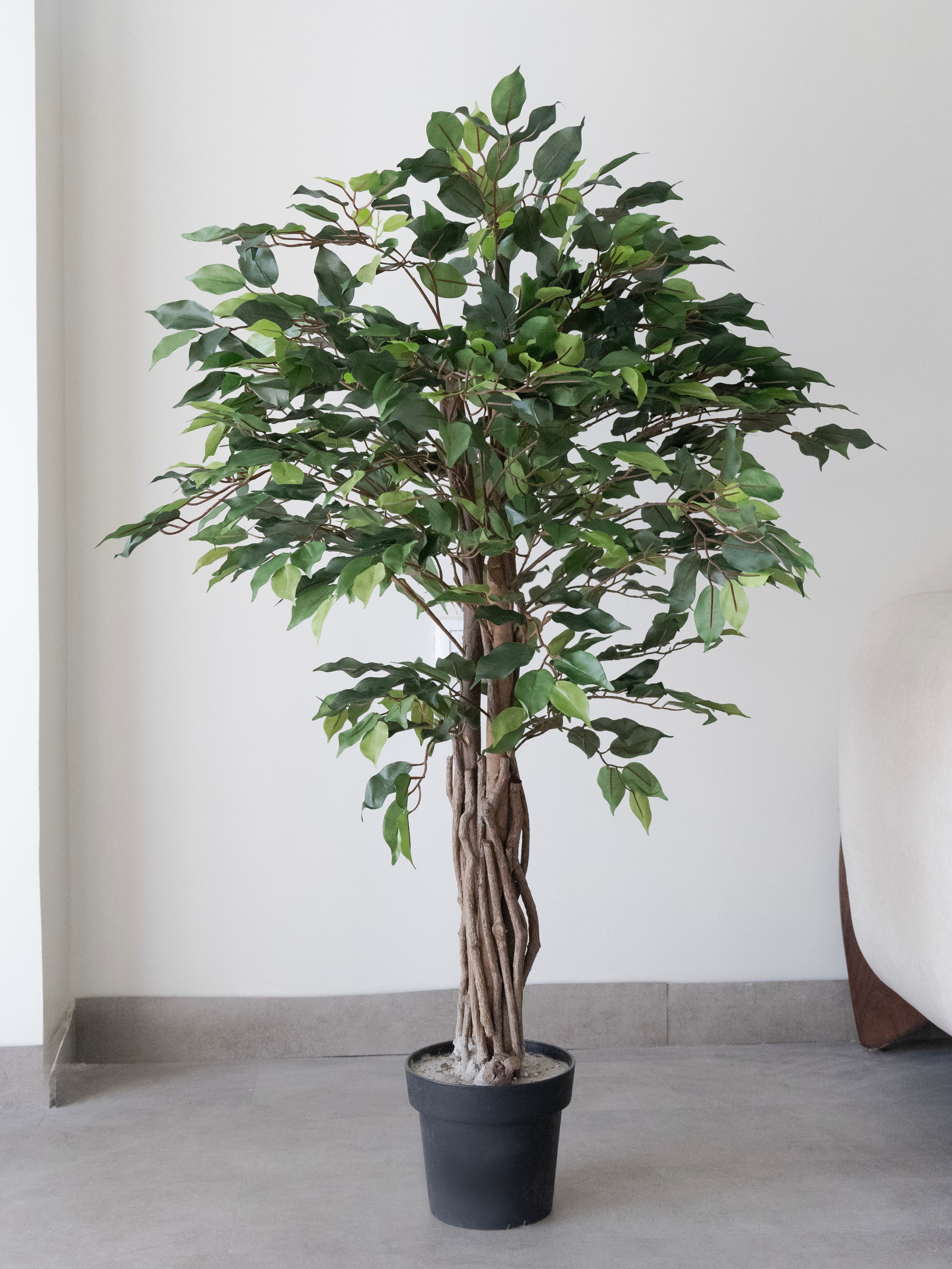 Artificial Green Ficus 4ft