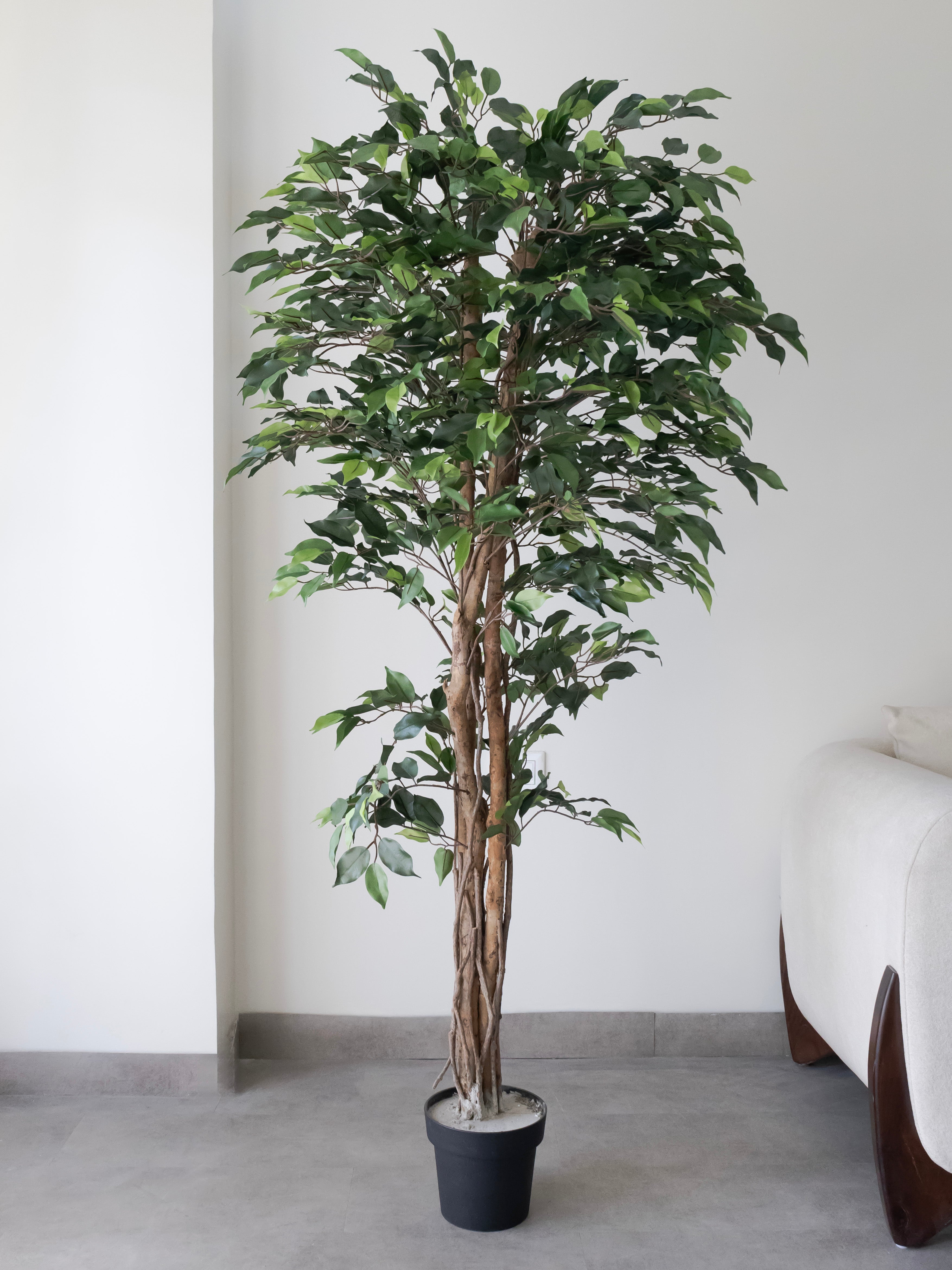 Artificial Green Ficus Tree 6ft