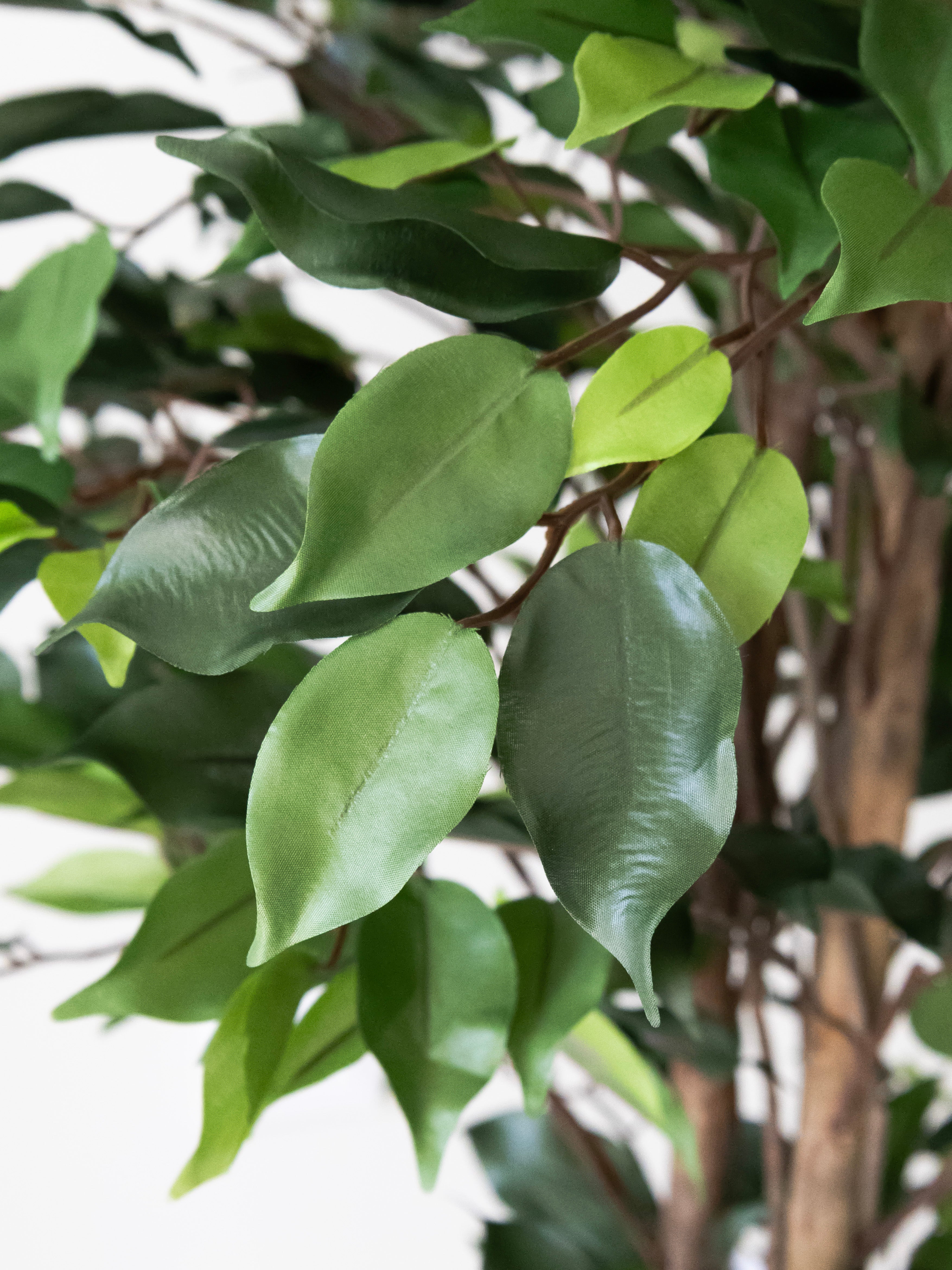 Artificial Green Ficus 4ft