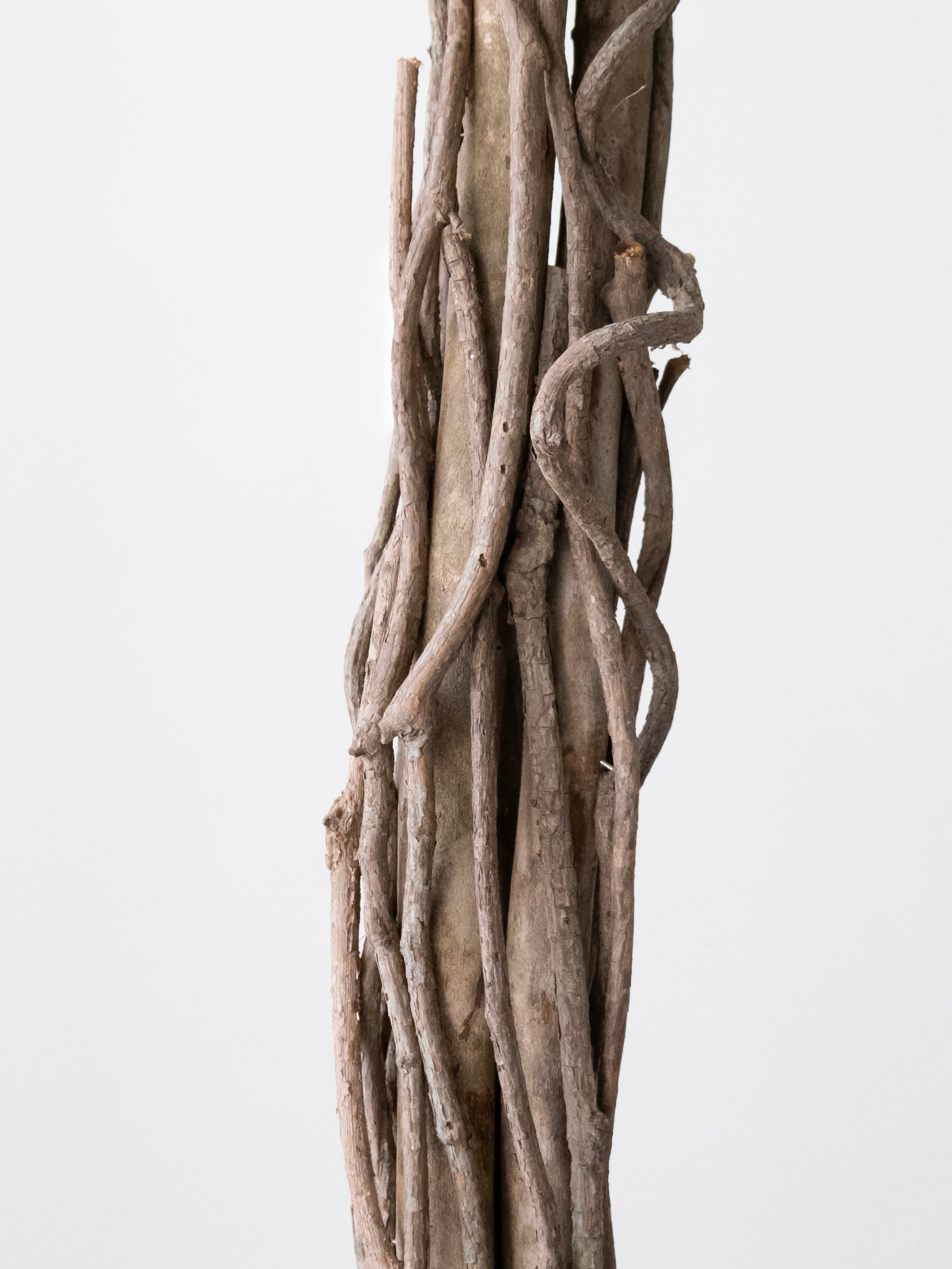 Artificial Green Ficus Plant 5ft