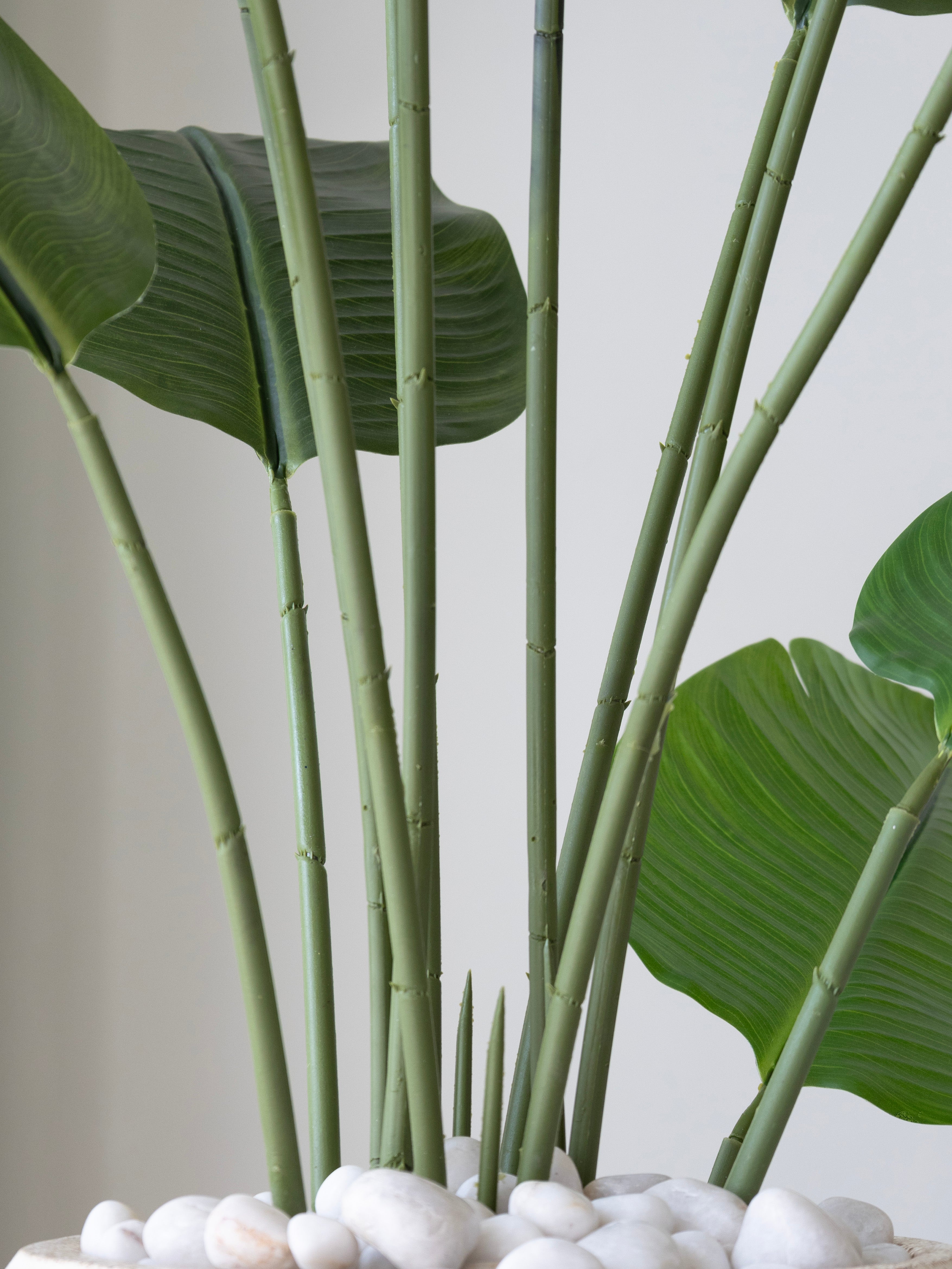 Artificial Travellers Banana Leaf Plant 6ft