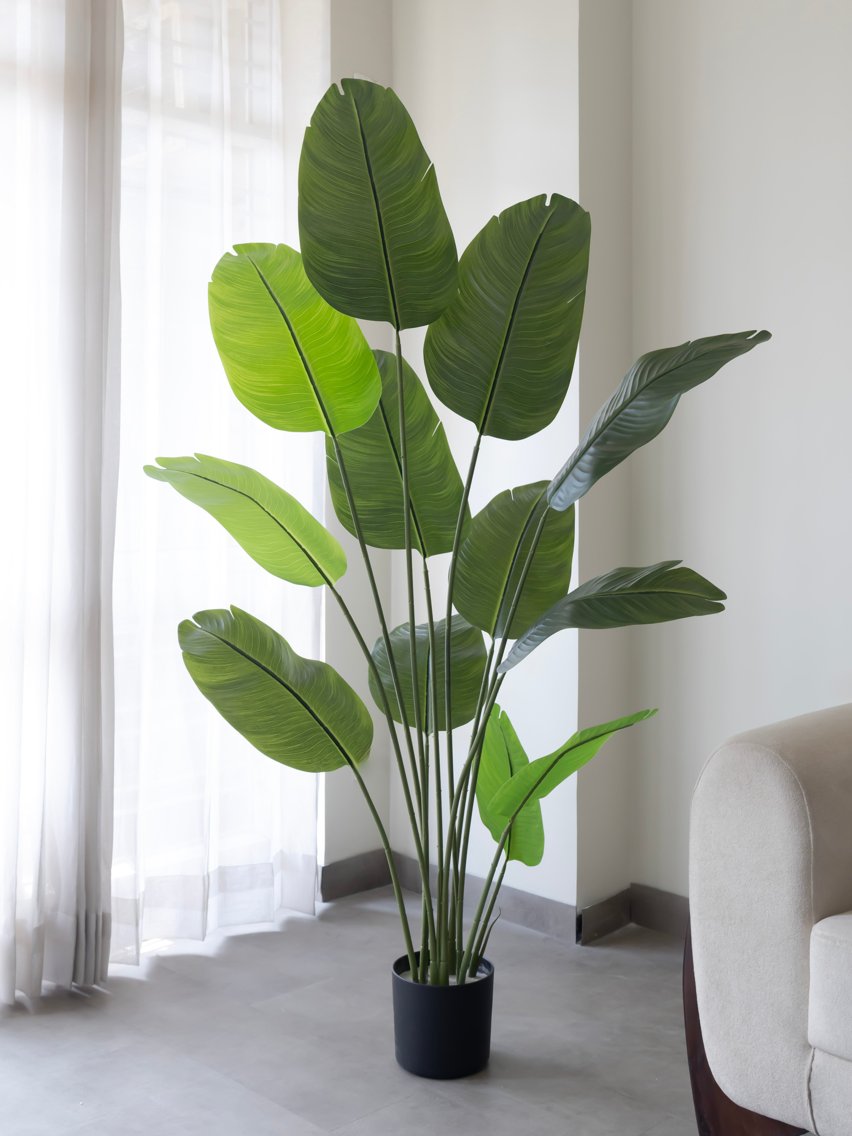 Artificial Travellers Banana Leaf Plant 6ft