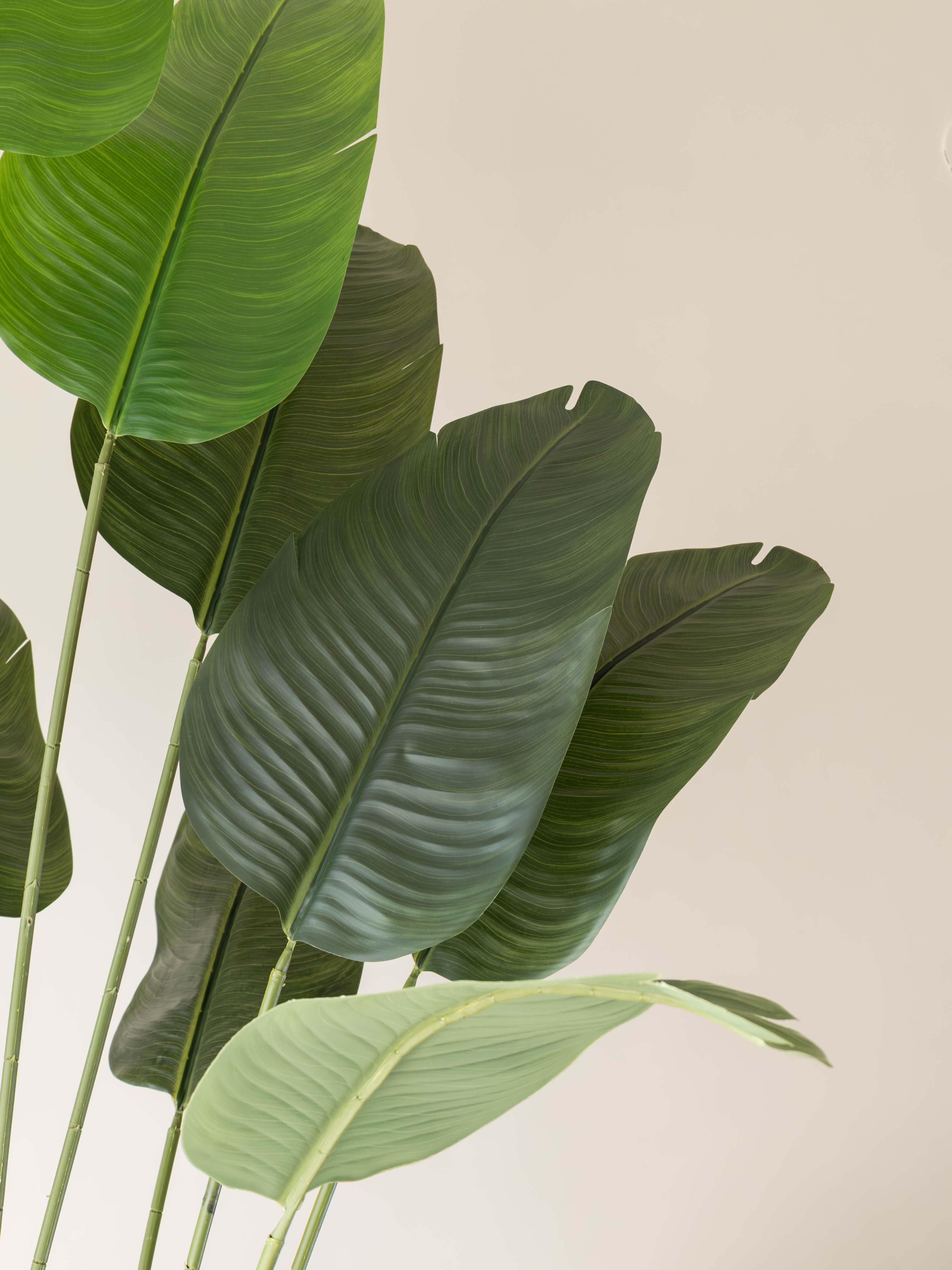 Artificial Travellers Banana Leaf Plant 7.3ft