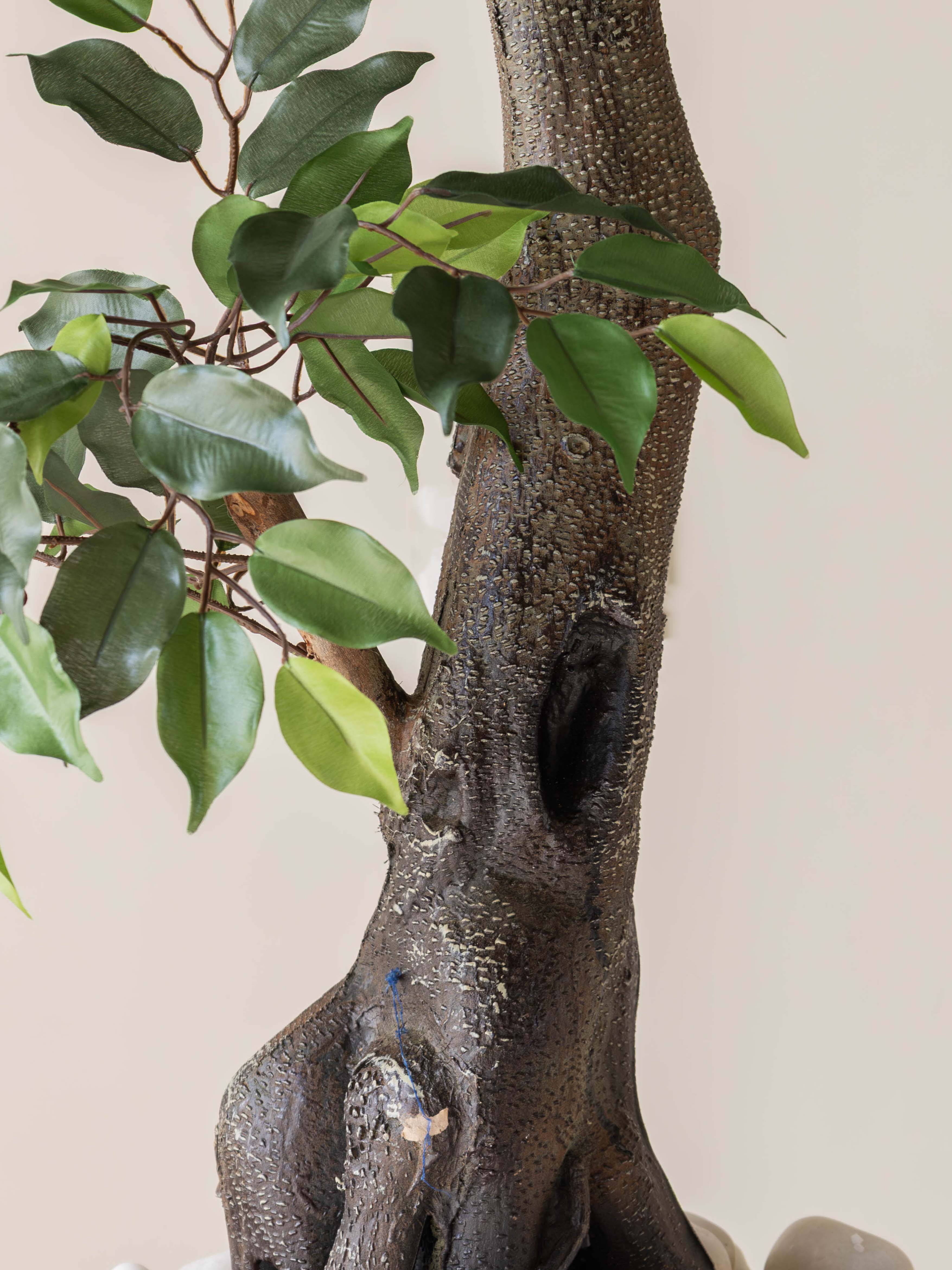 Artificial Ficus Bonsai Tree 6.3ft