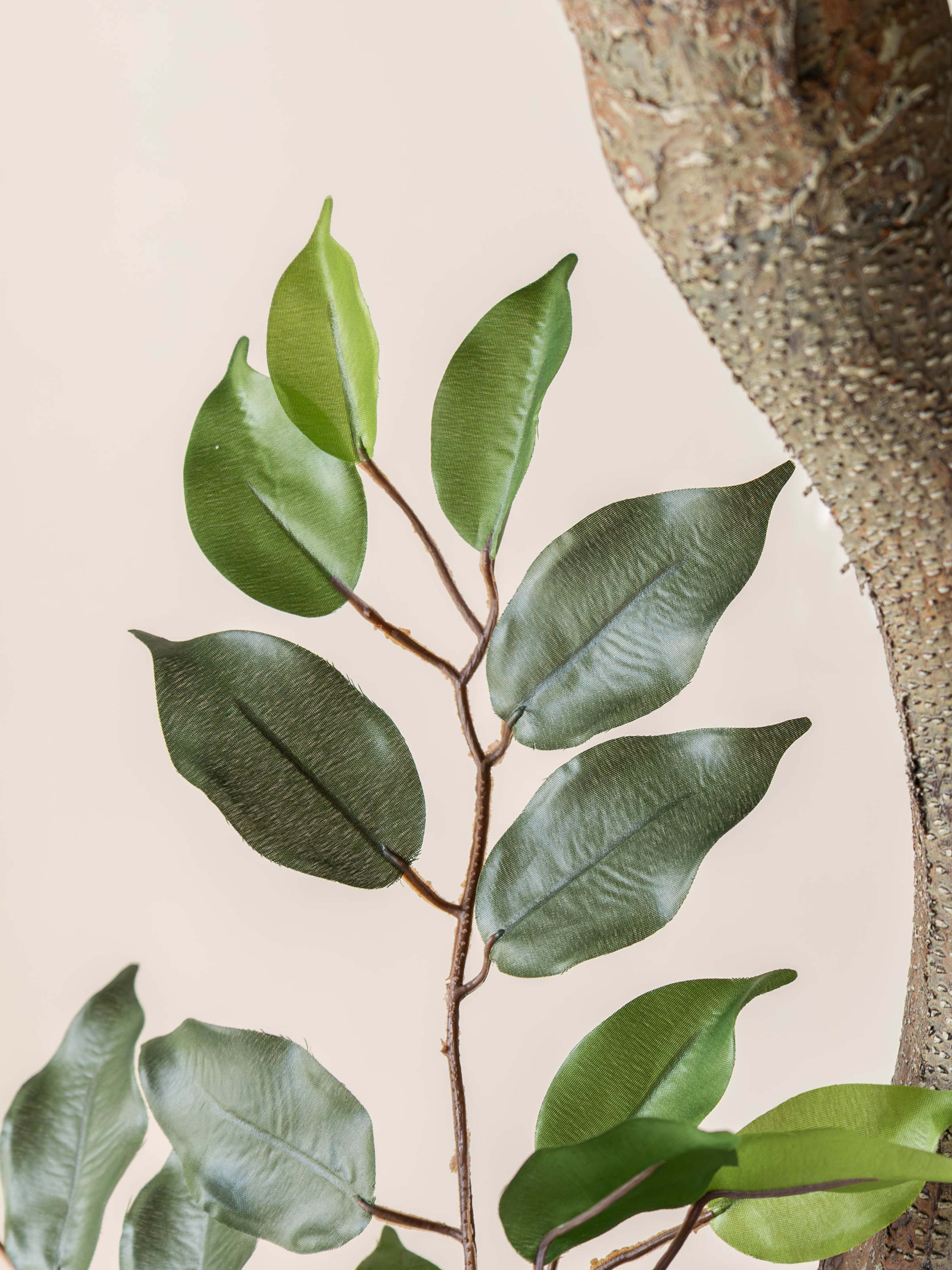 Artificial Ficus Bonsai Tree 6.3ft