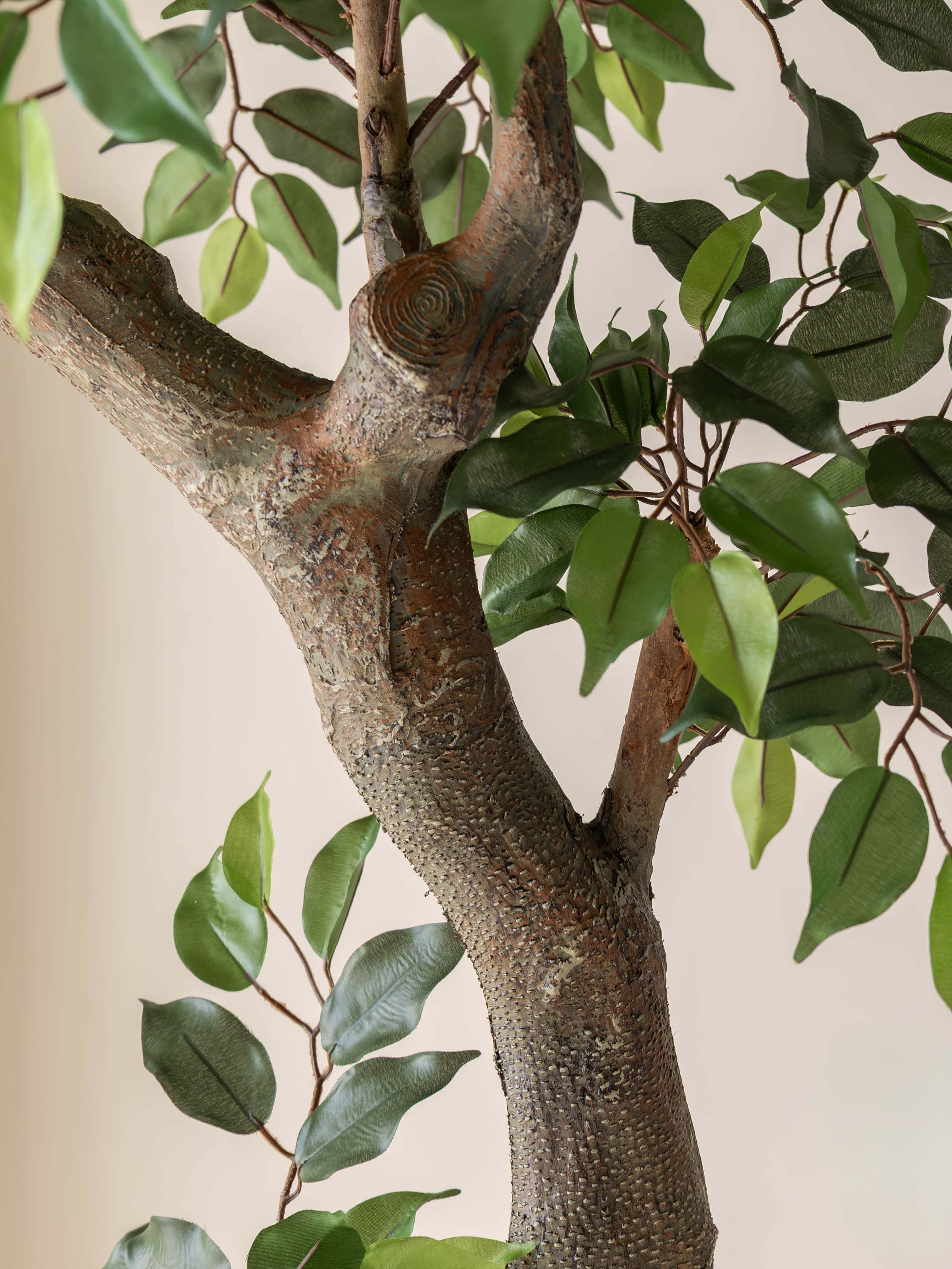 Artificial Ficus Bonsai Tree 6.3ft