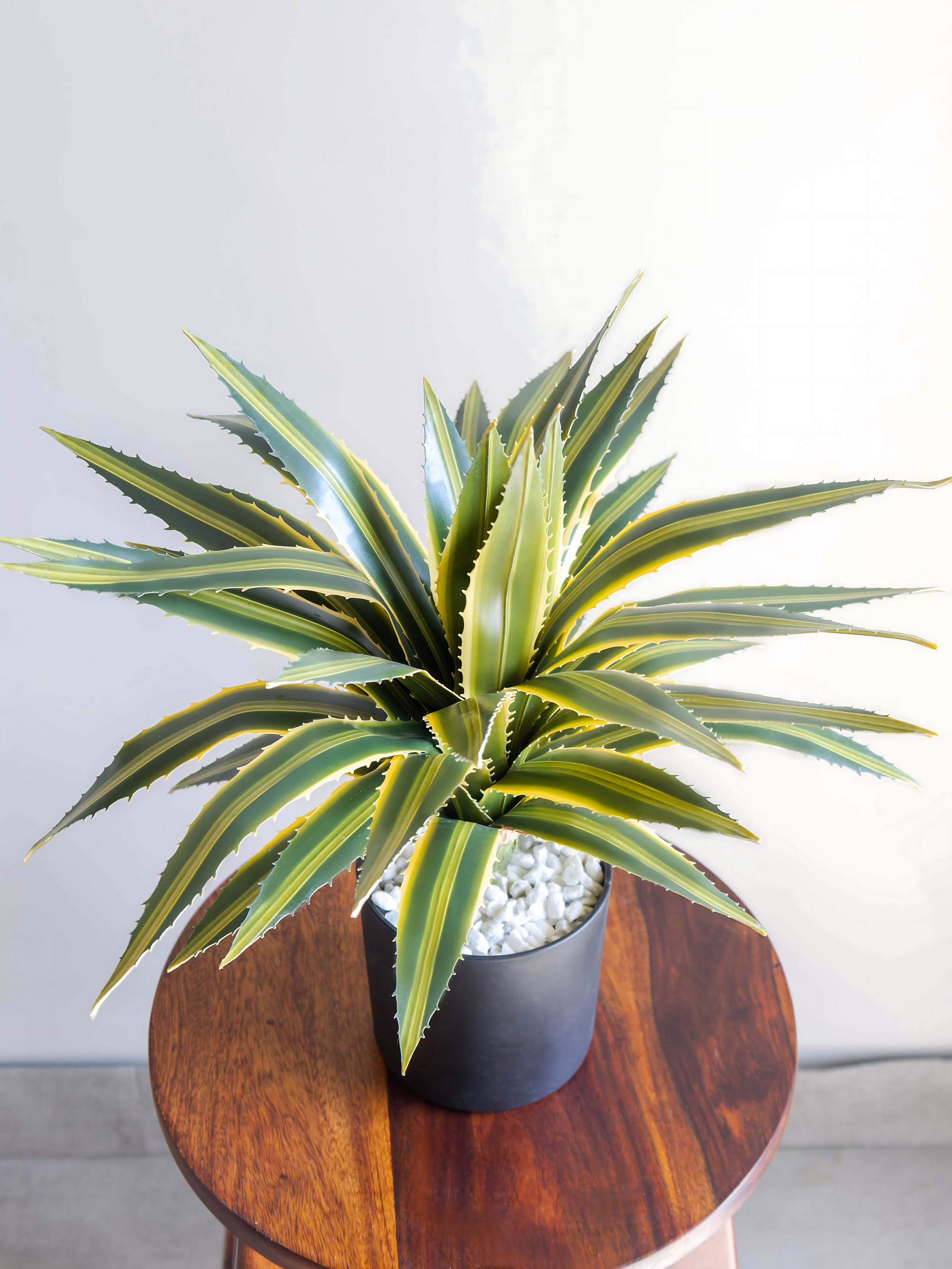 Real Touch Agave Lophantha Plant 1.3ft