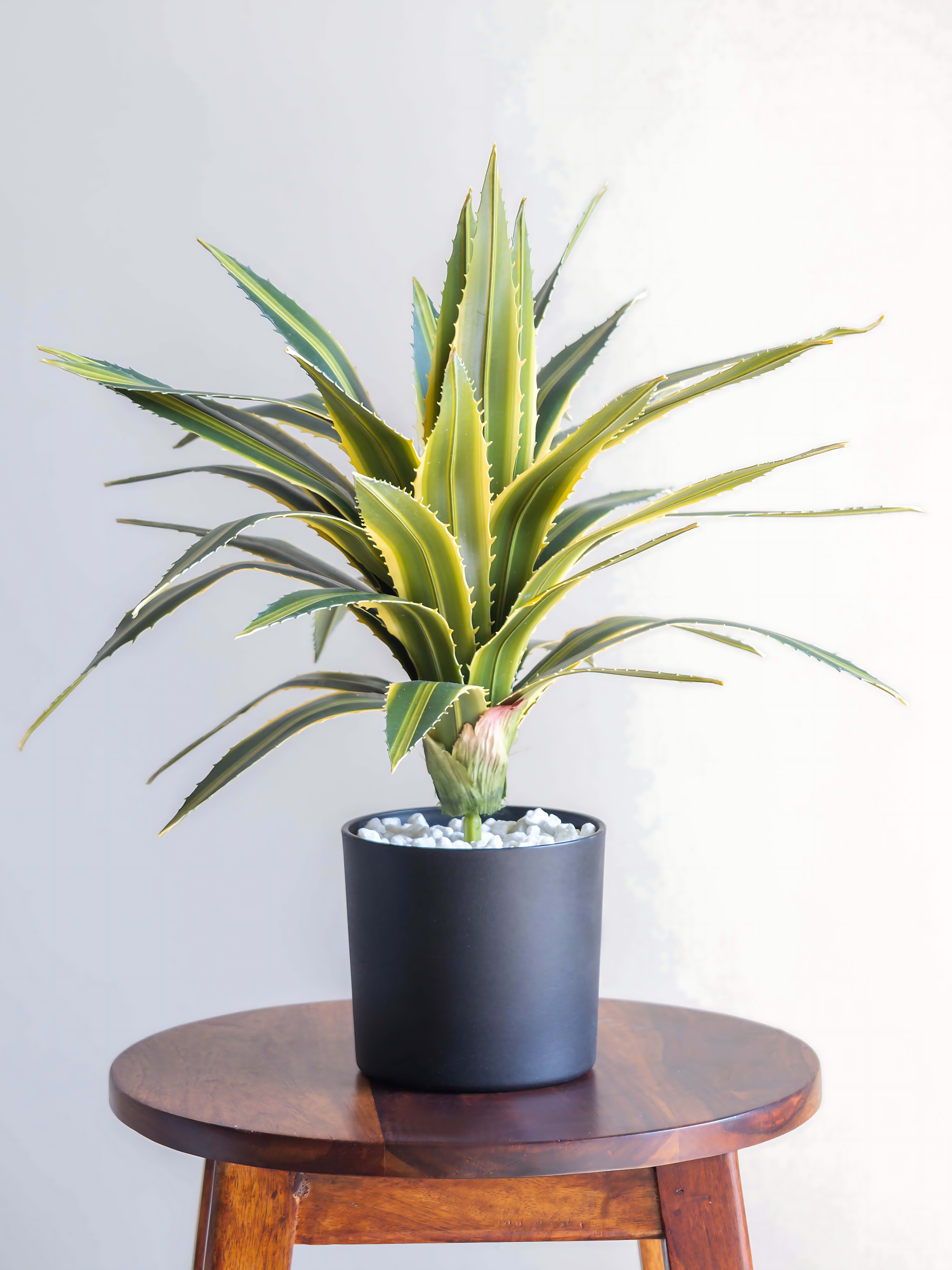 Real Touch Agave Lophantha Plant 1.3ft
