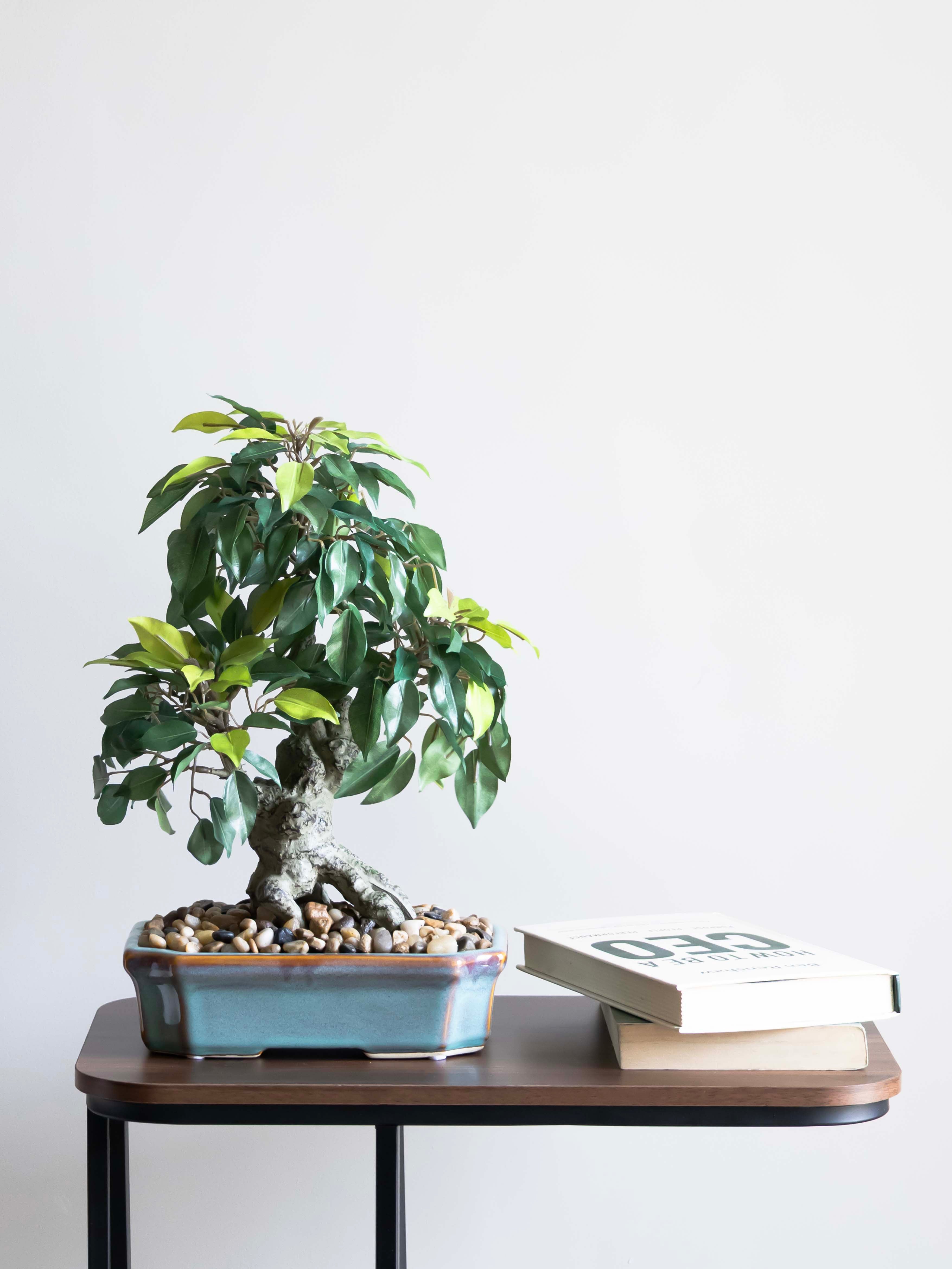 Artificial Ficus Leaves Bonsai 1.3ft