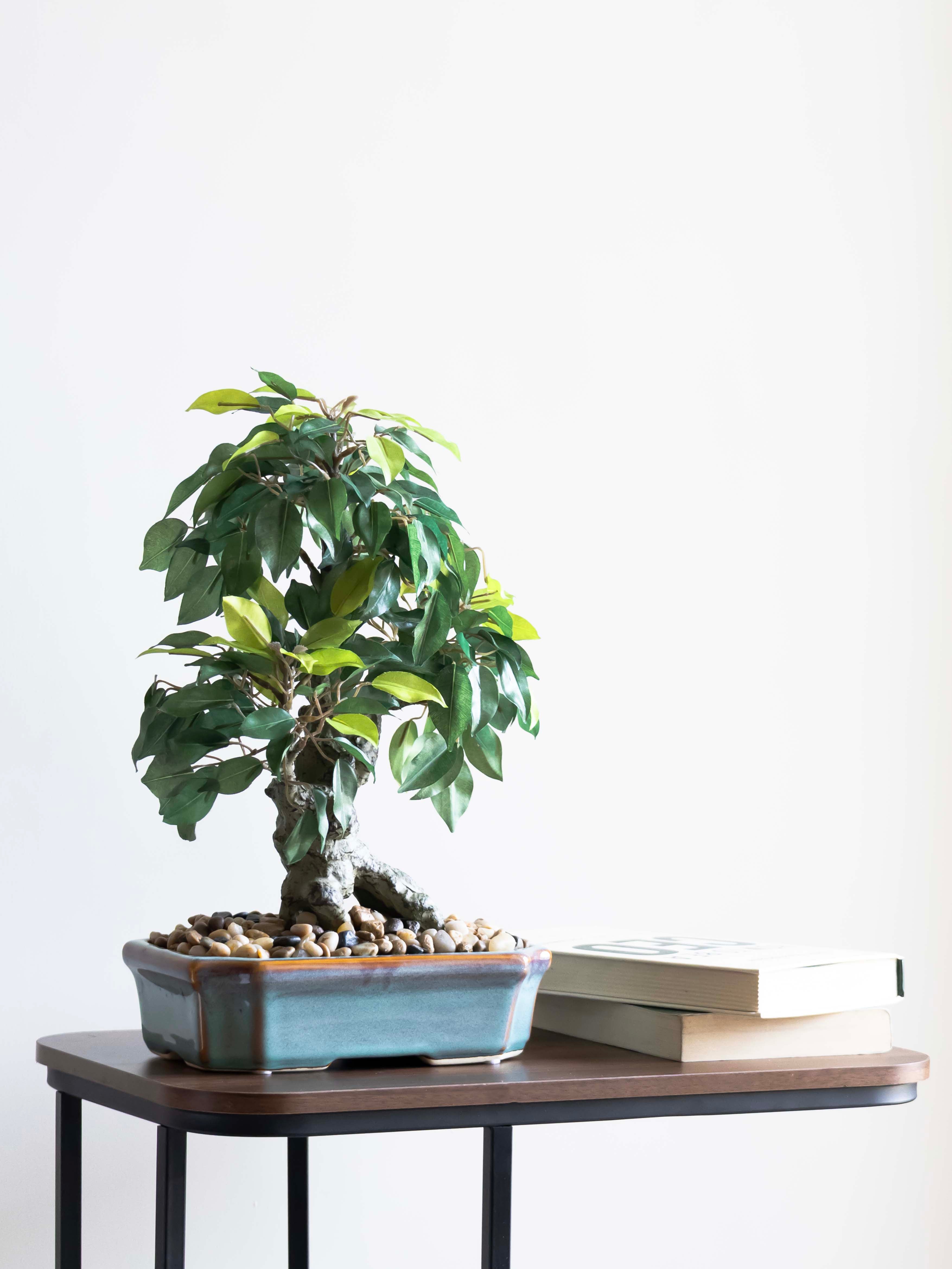 Artificial Ficus Leaves Bonsai 1.3ft