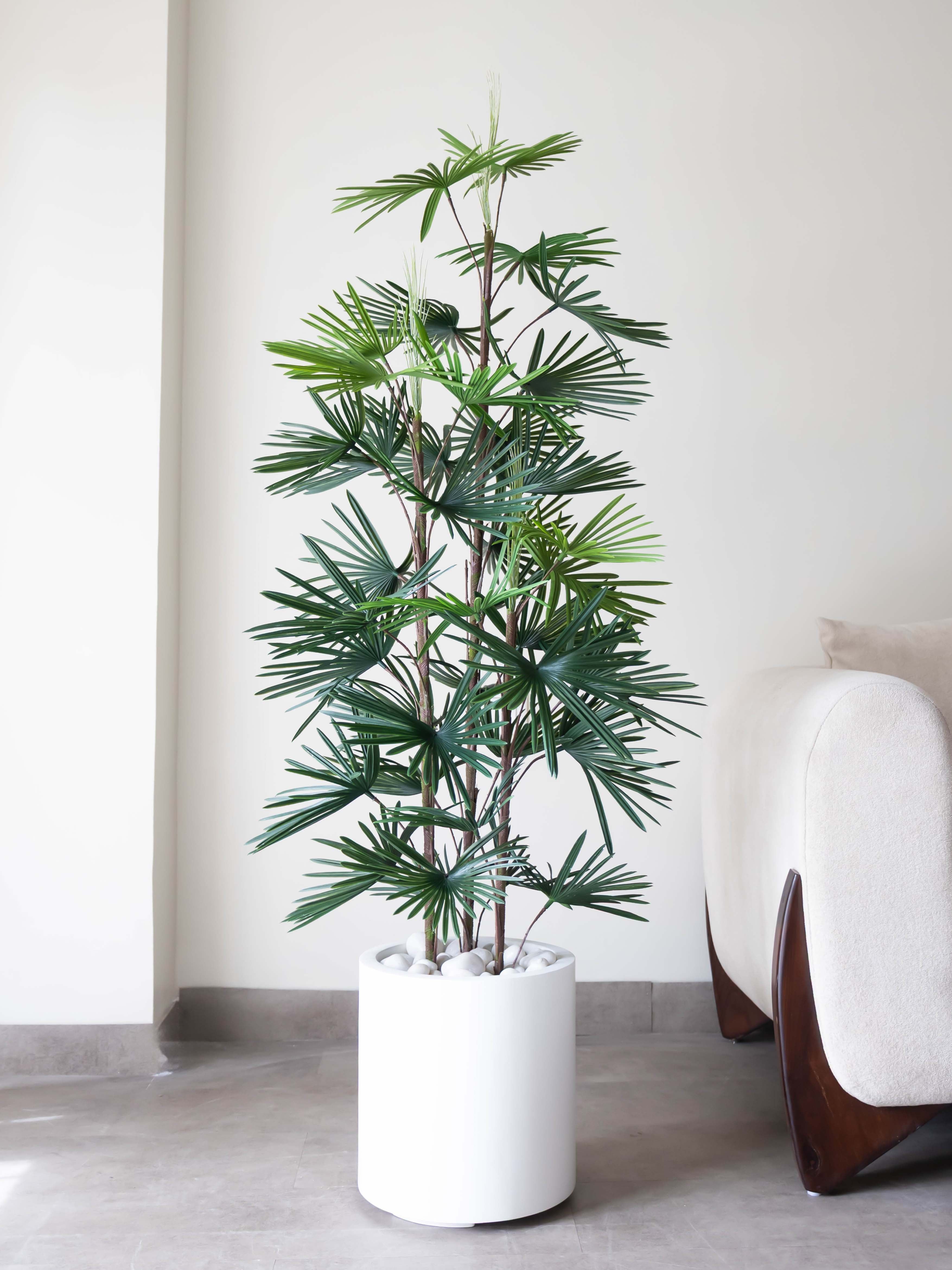 Artificial Fortune Palm Tree 6ft
