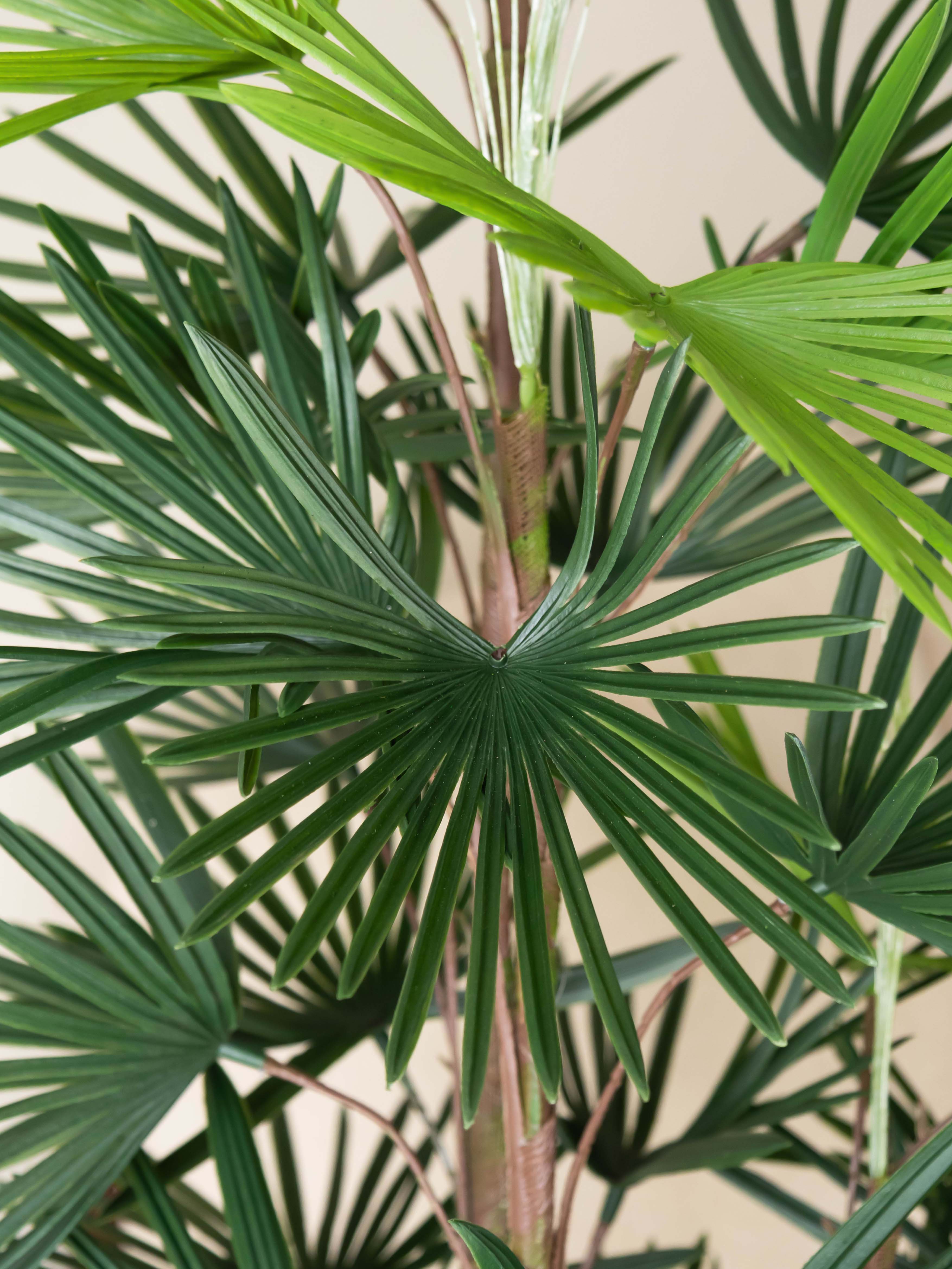 Artificial Fortune Palm Tree 6ft