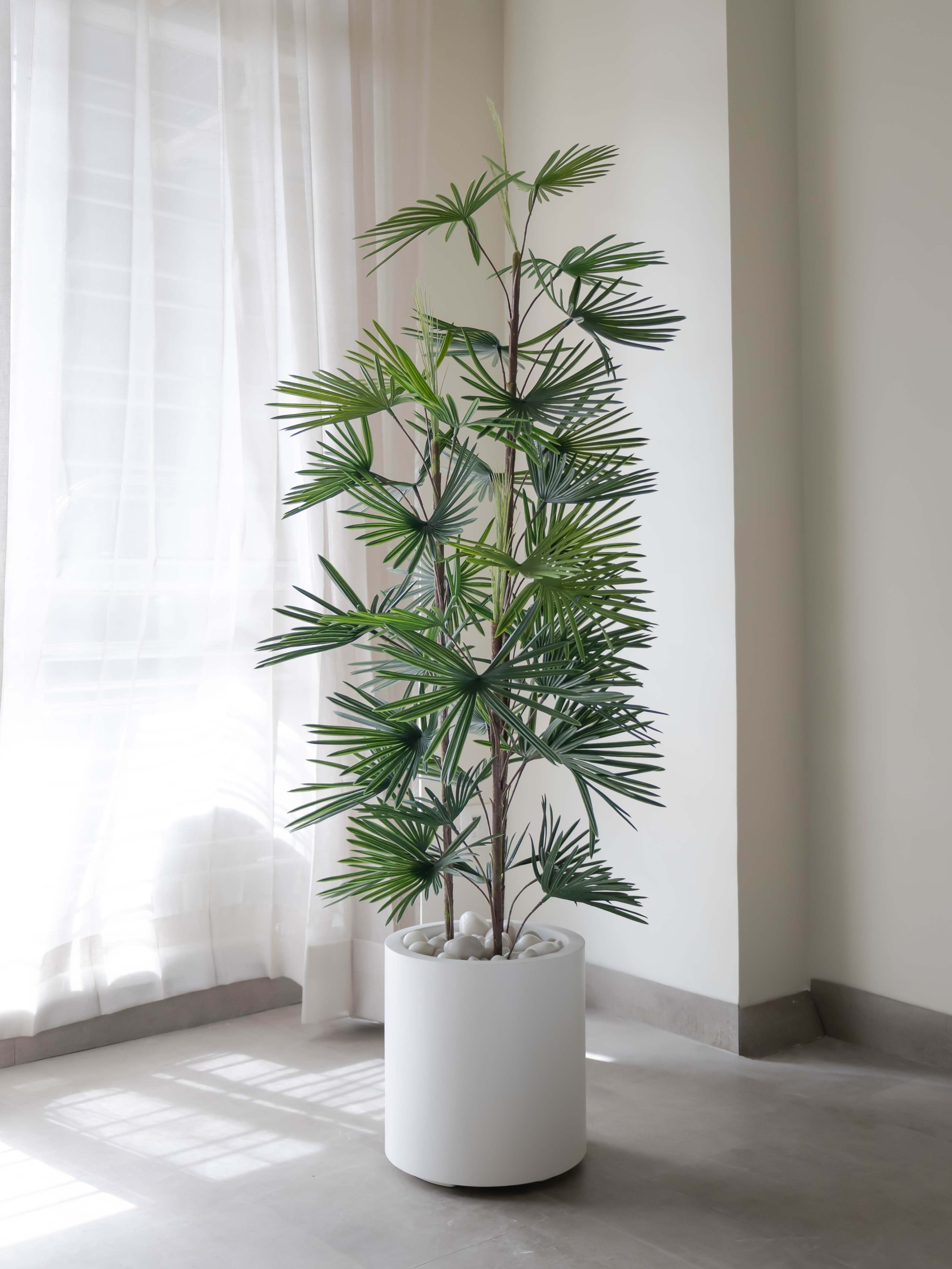 Artificial Fortune Palm Tree 6ft