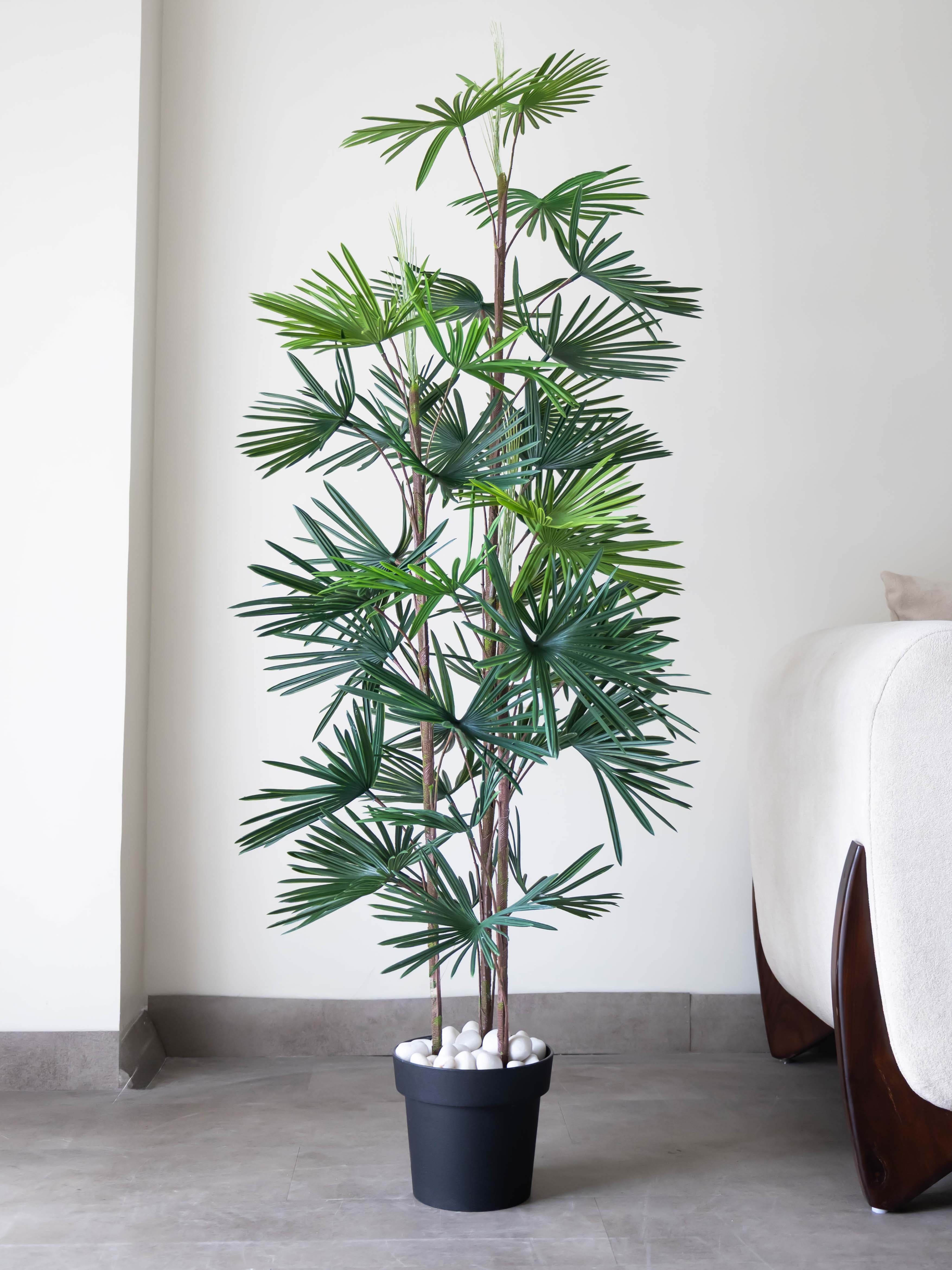 Artificial Fortune Palm Tree 6ft