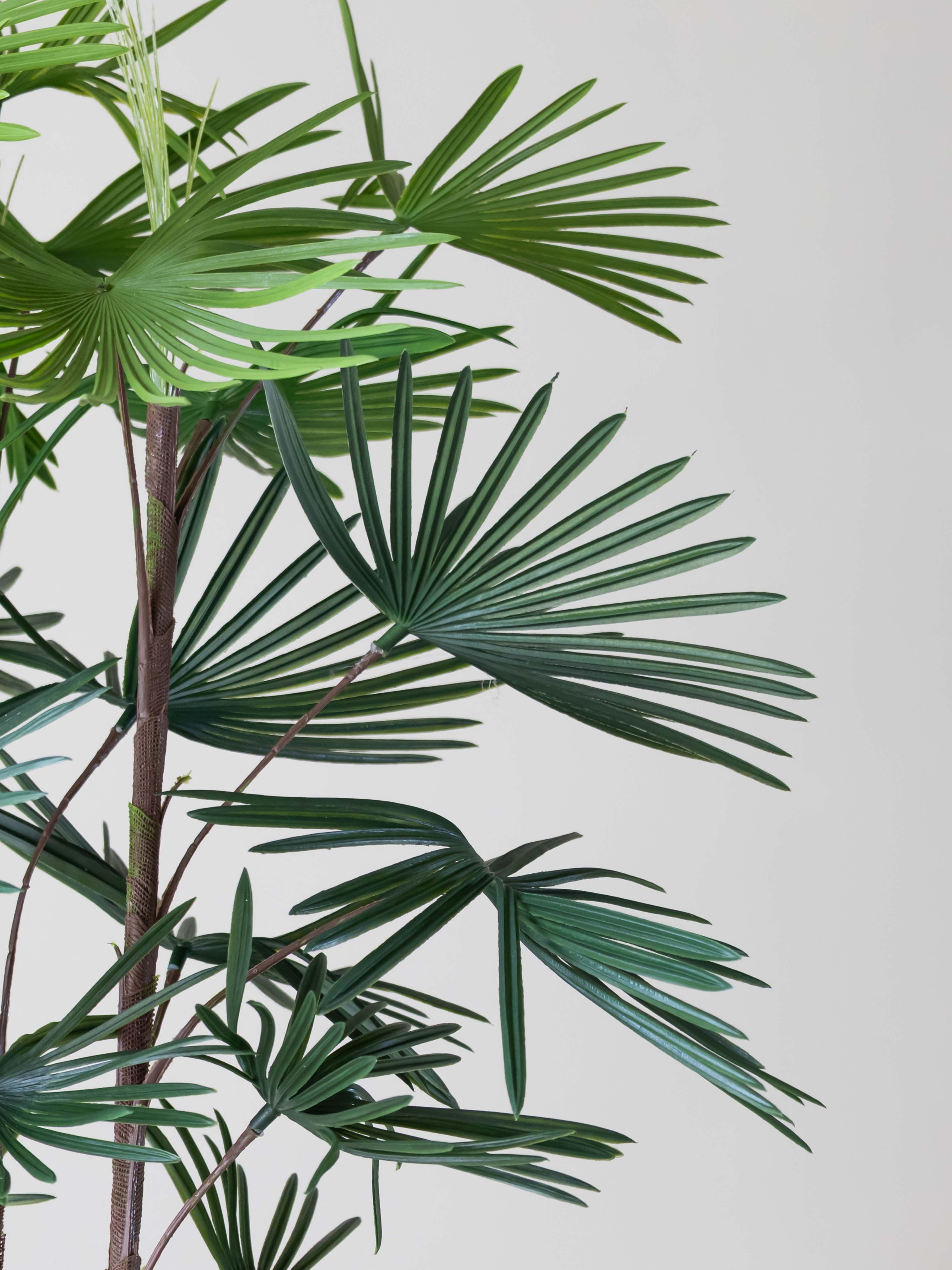 Artificial Fortune Palm Tree 6ft