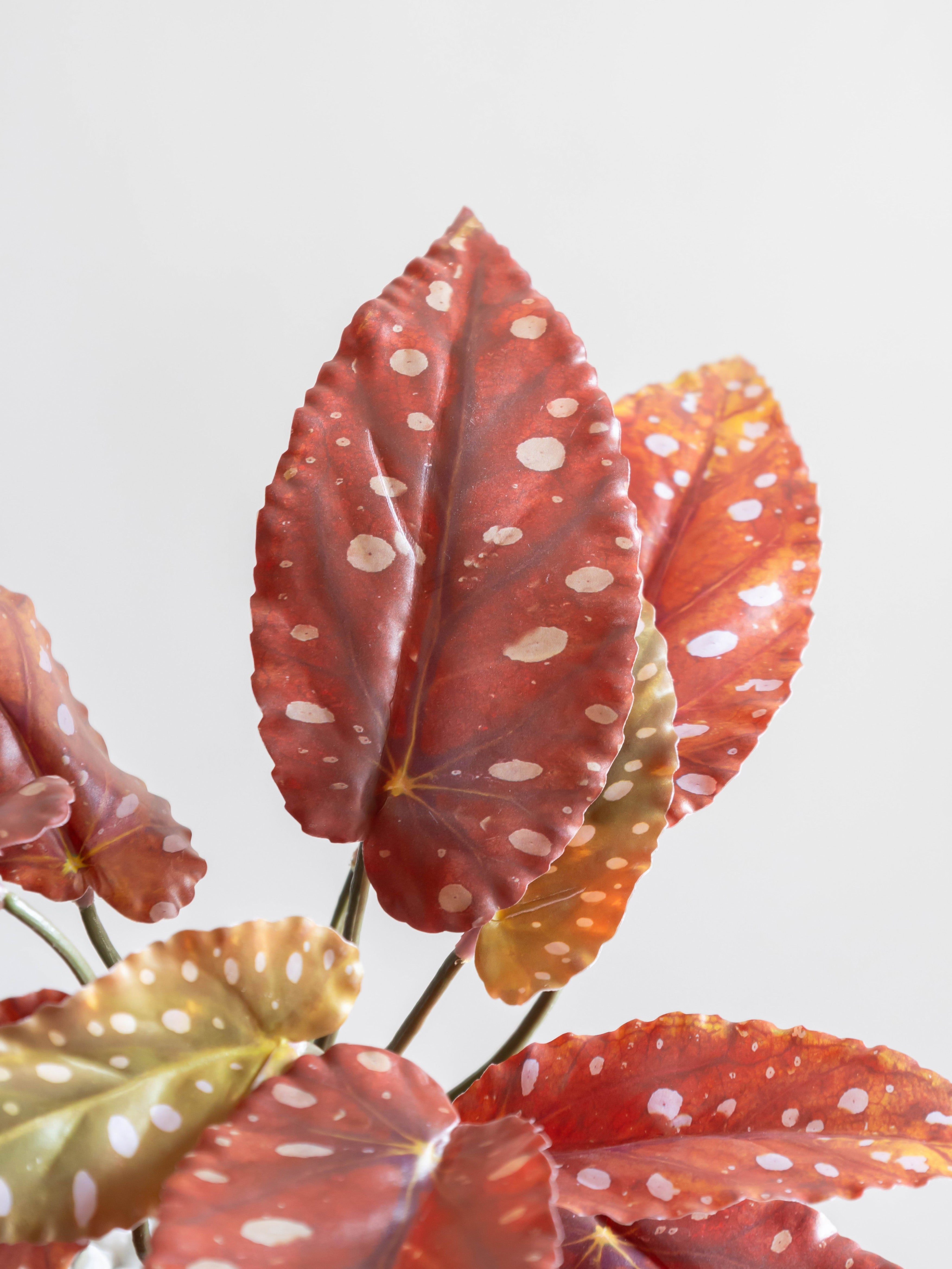 Artificial Red Begonia Leaf Creeper 50cm