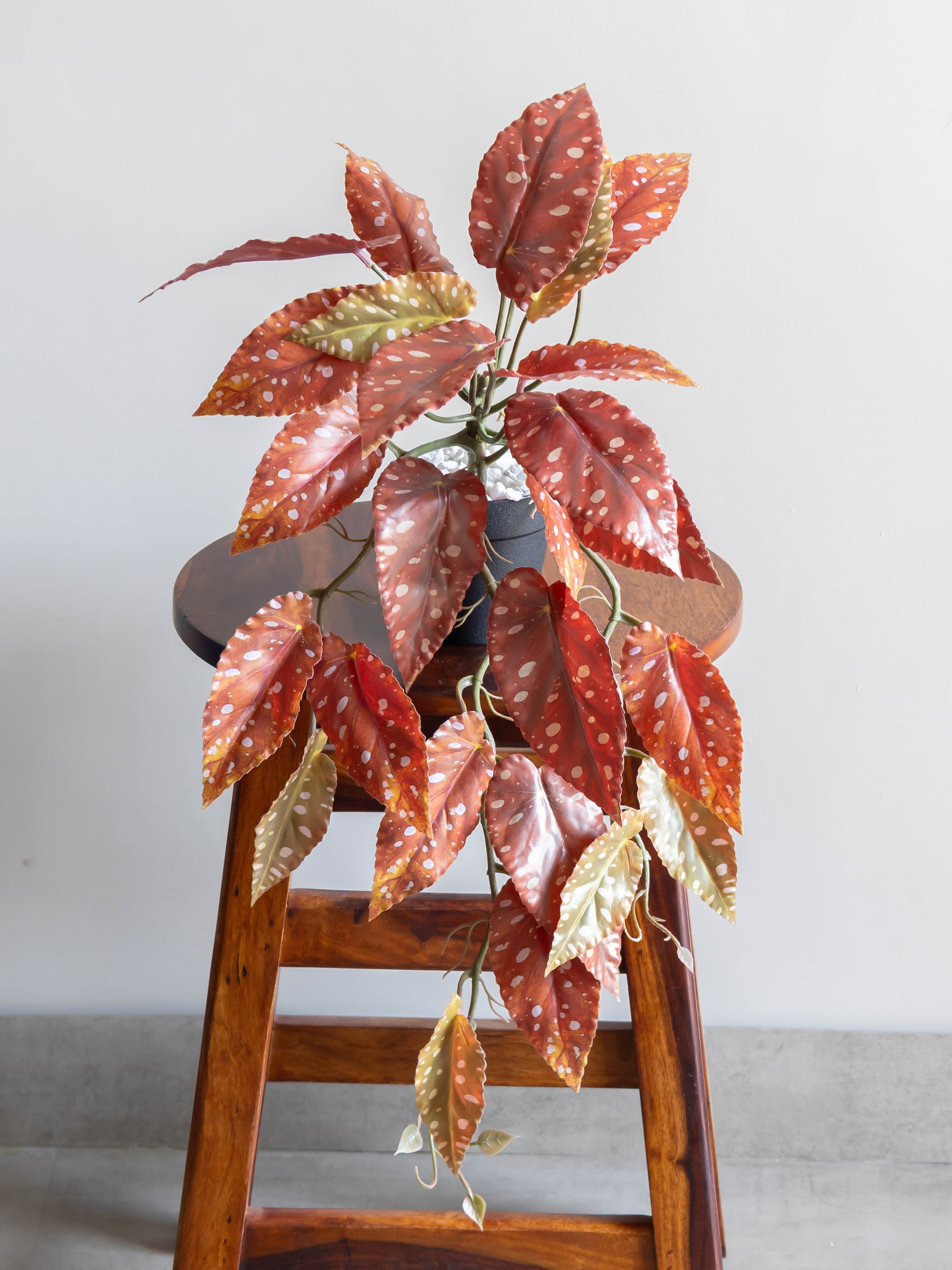 Artificial Red Begonia Leaf Creeper 50cm