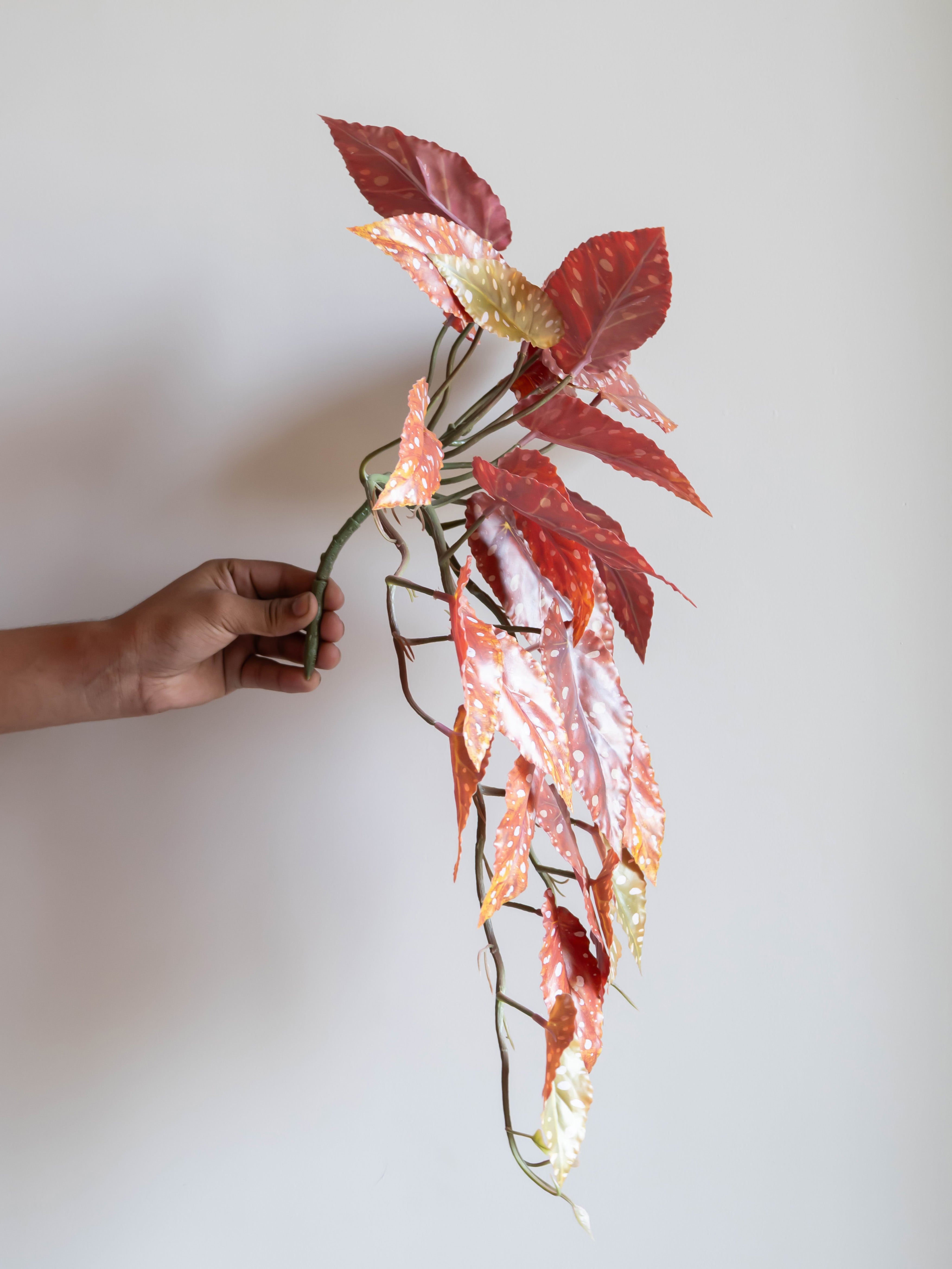 Artificial Red Begonia Leaf Creeper 50cm