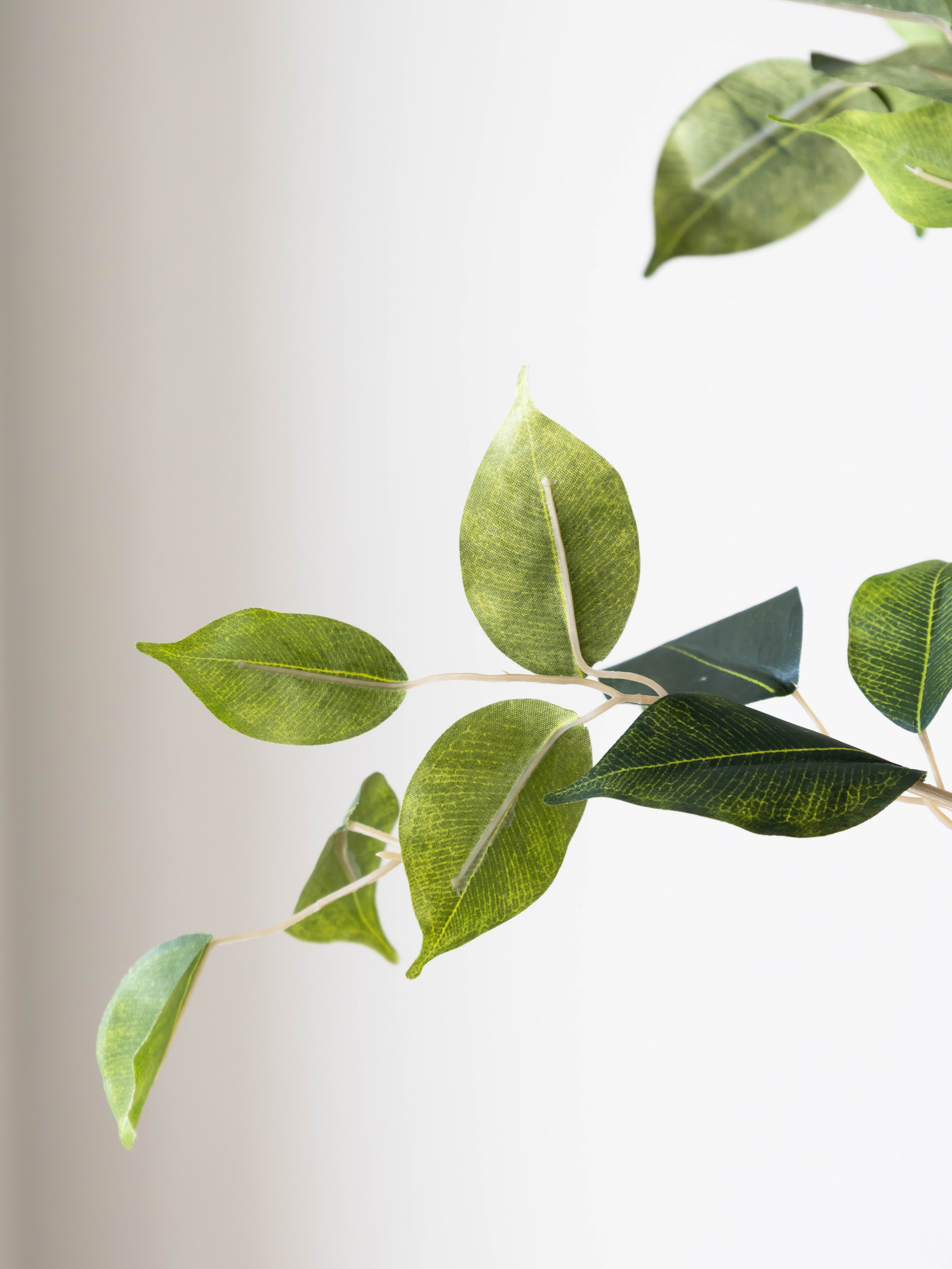 Artificial Faux Ficus Tree 6ft