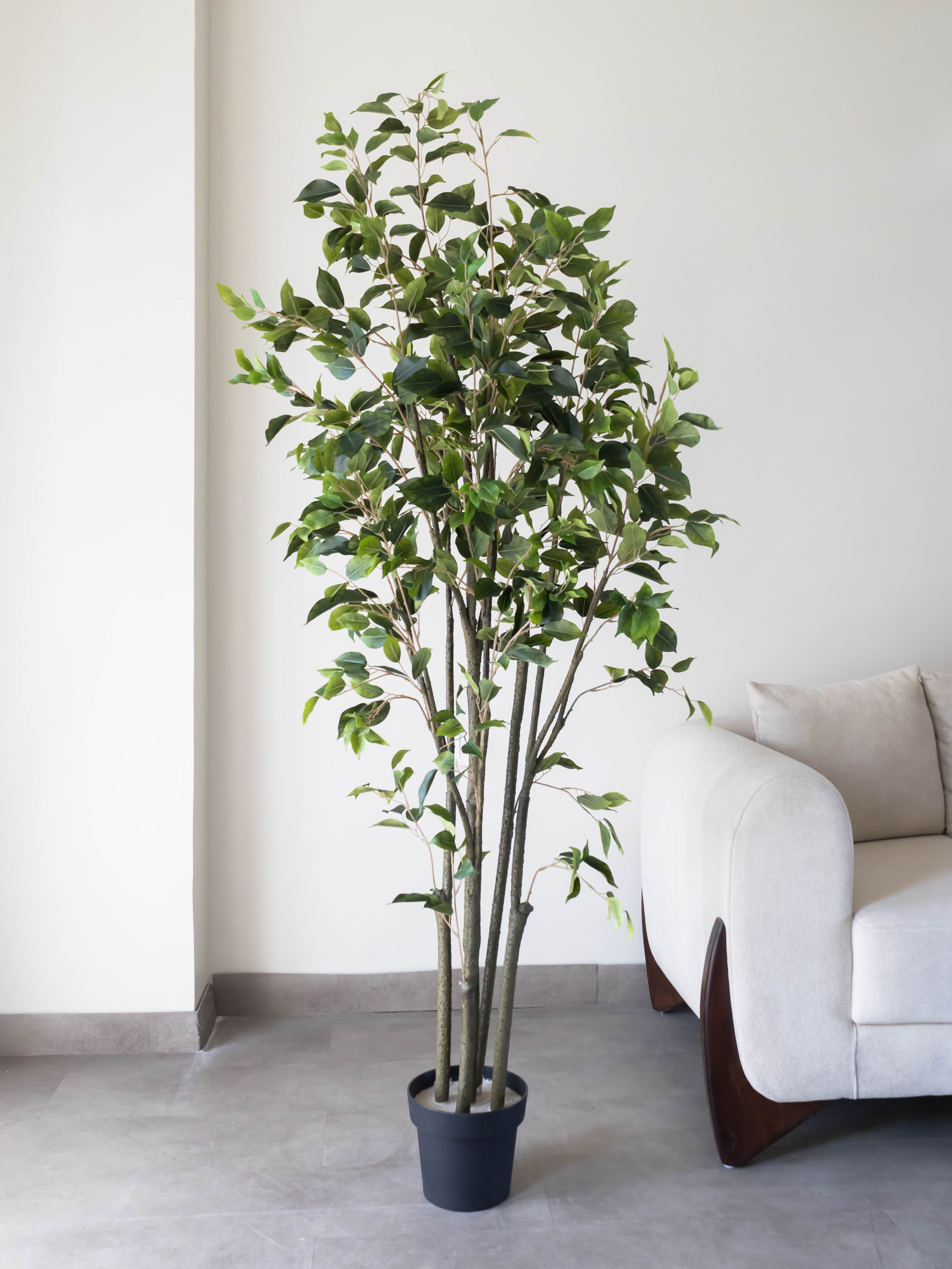 Artificial Faux Ficus Tree 6ft