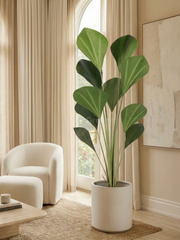 Artificial Licuala Grandis Palm 5.8ft
