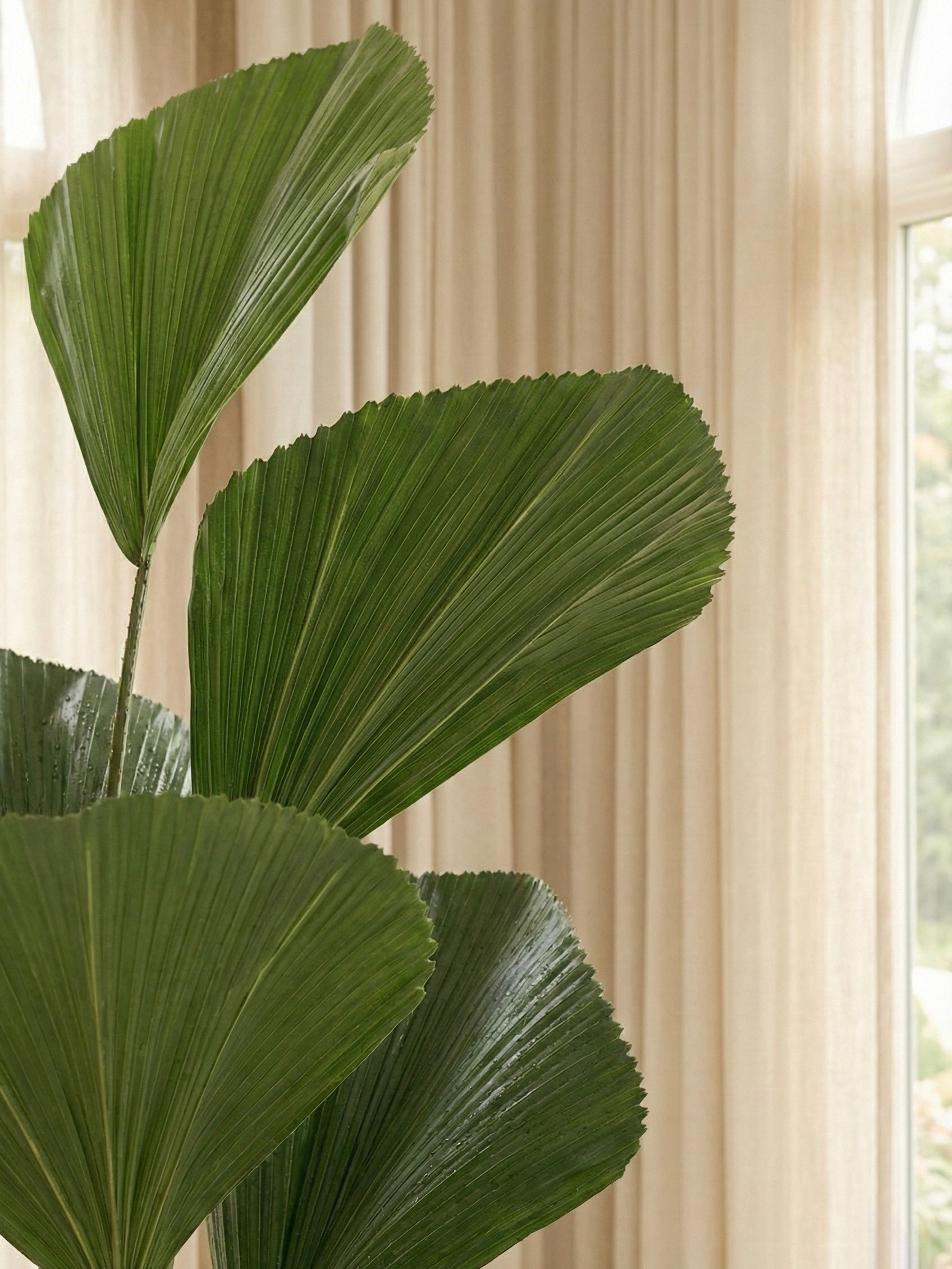 Artificial Licuala Grandis Palm 5.8ft