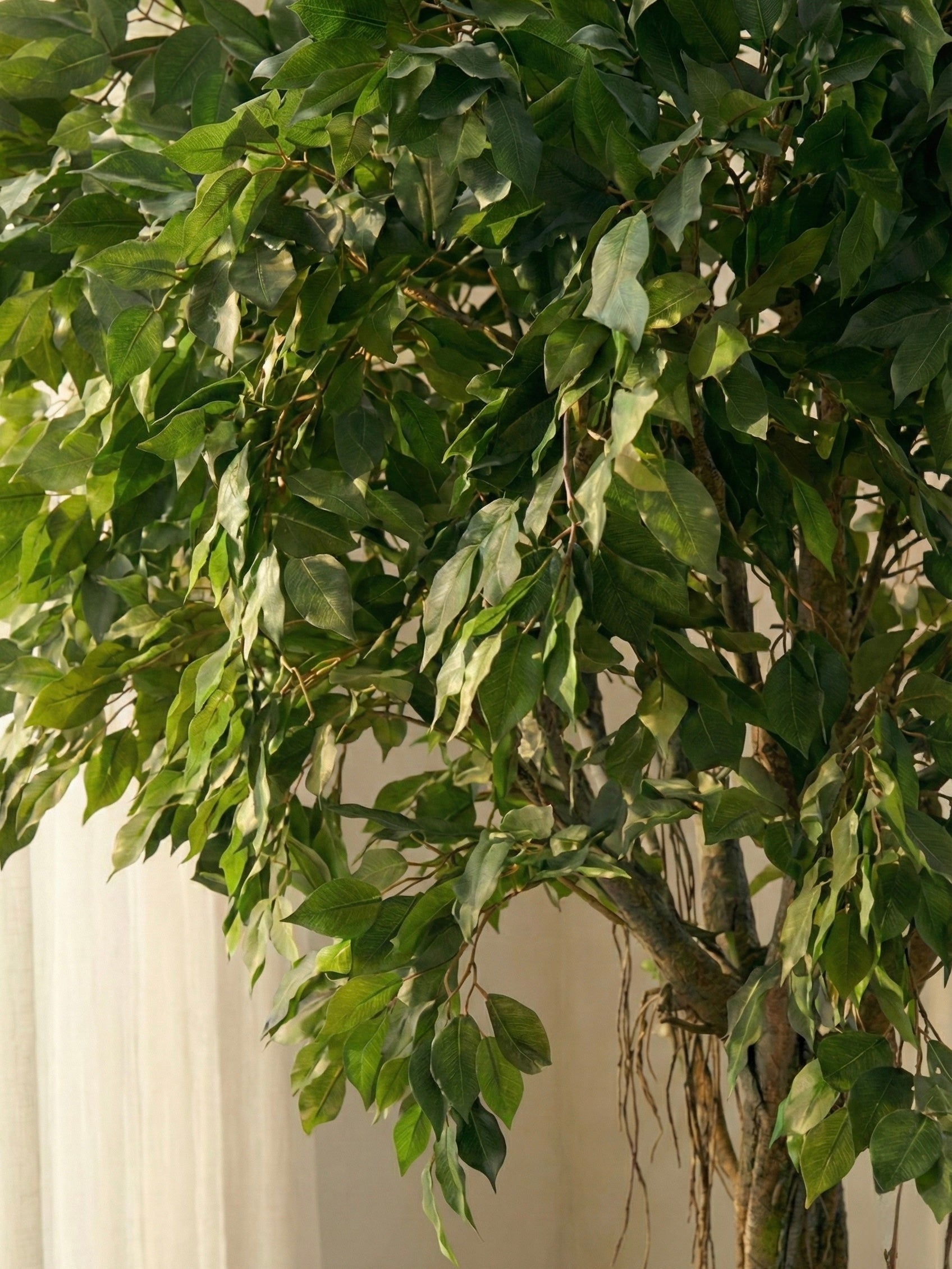 Artificial Ficus Leaf Fiber Trunk Plant 8ft
