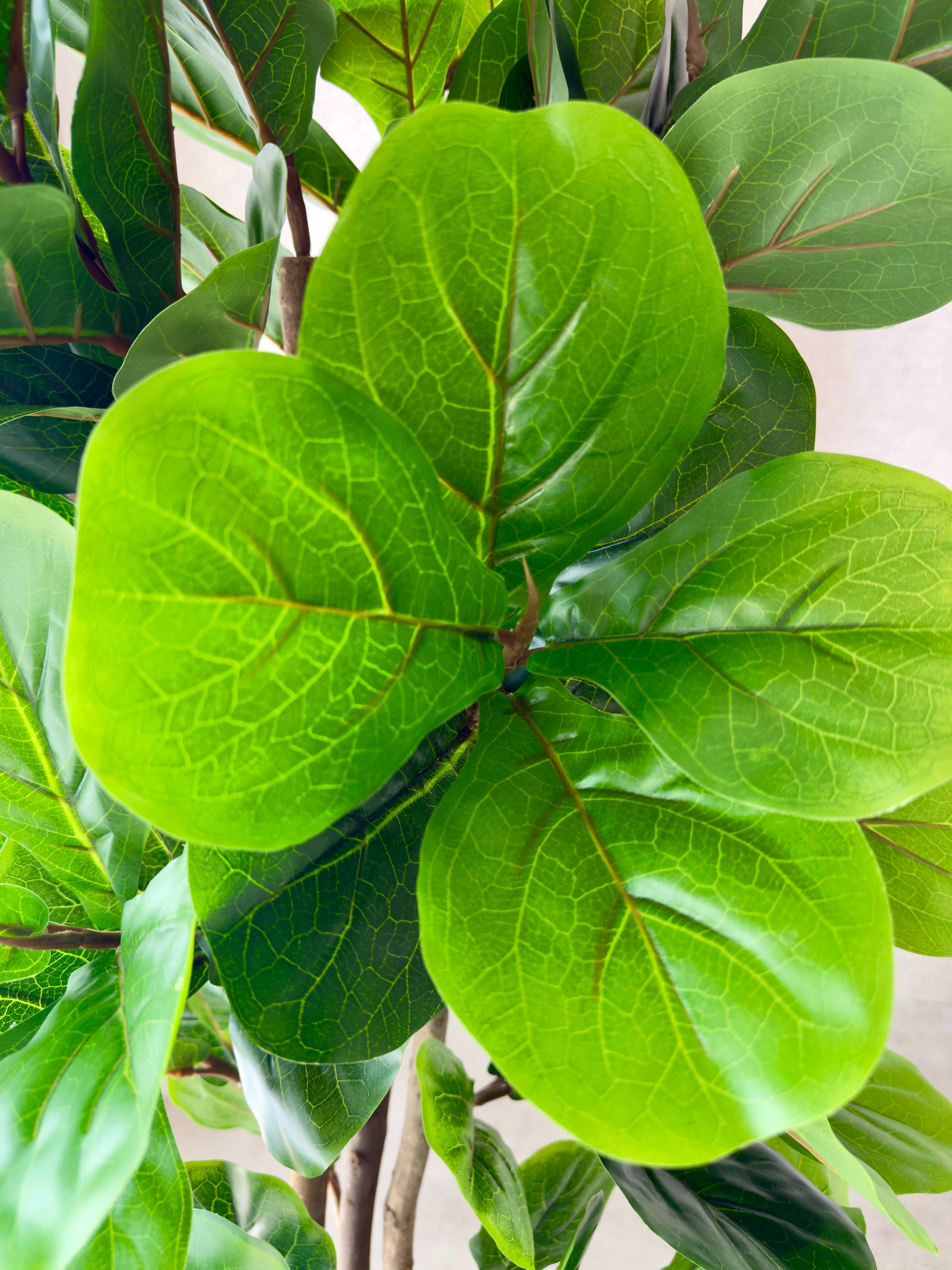 Artificial Fiddle Leaf Tree 6ft