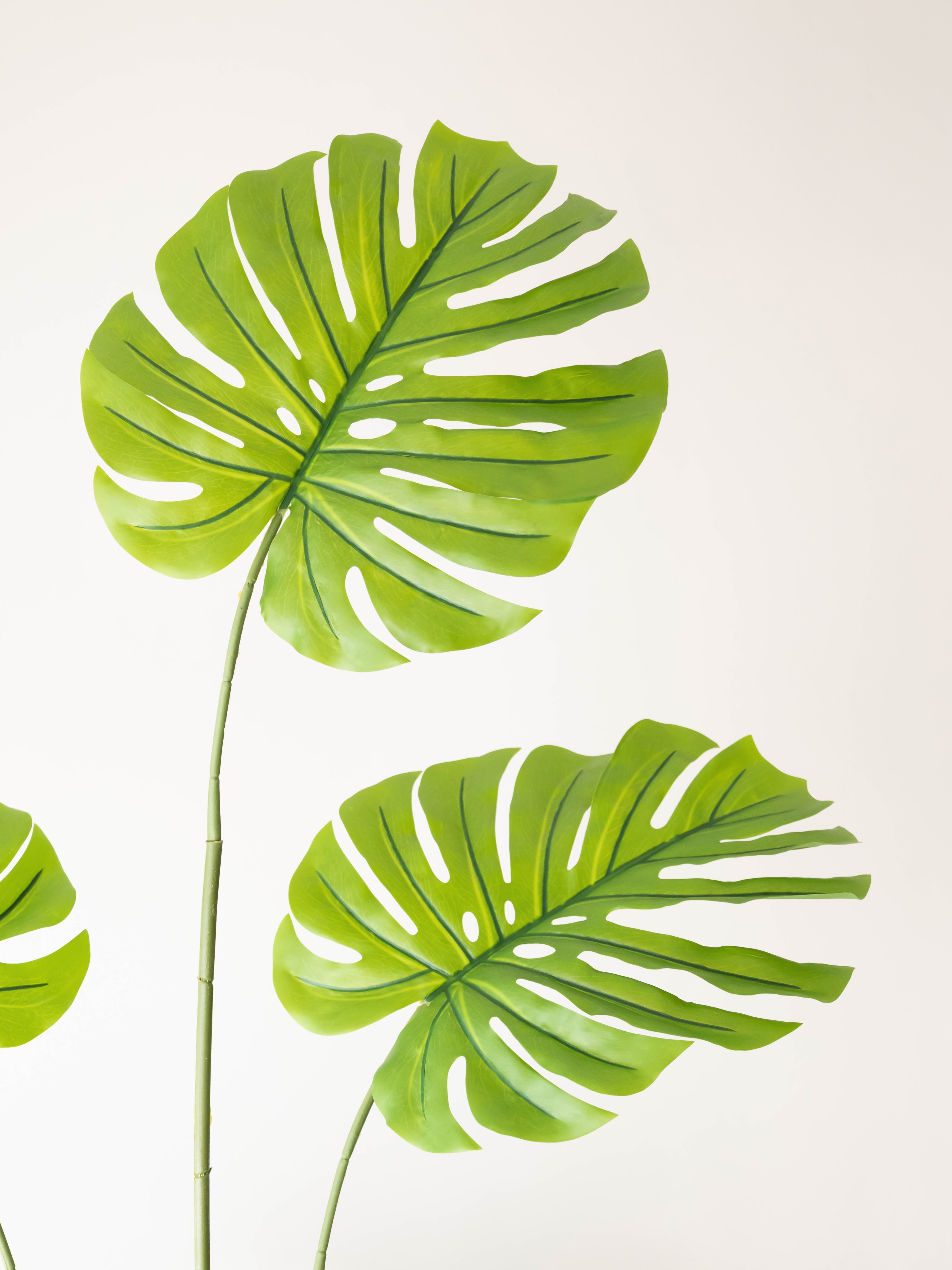 Artificial Monstera Plant 6.5ft